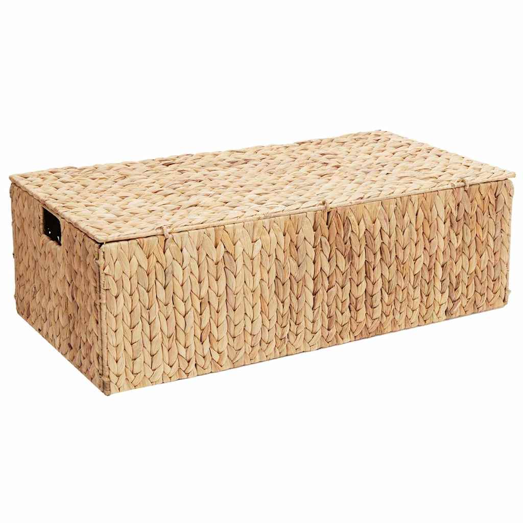 Saugojimo dėžė Natūrali 60 x 38 x 20 cm Vandens hiacintas