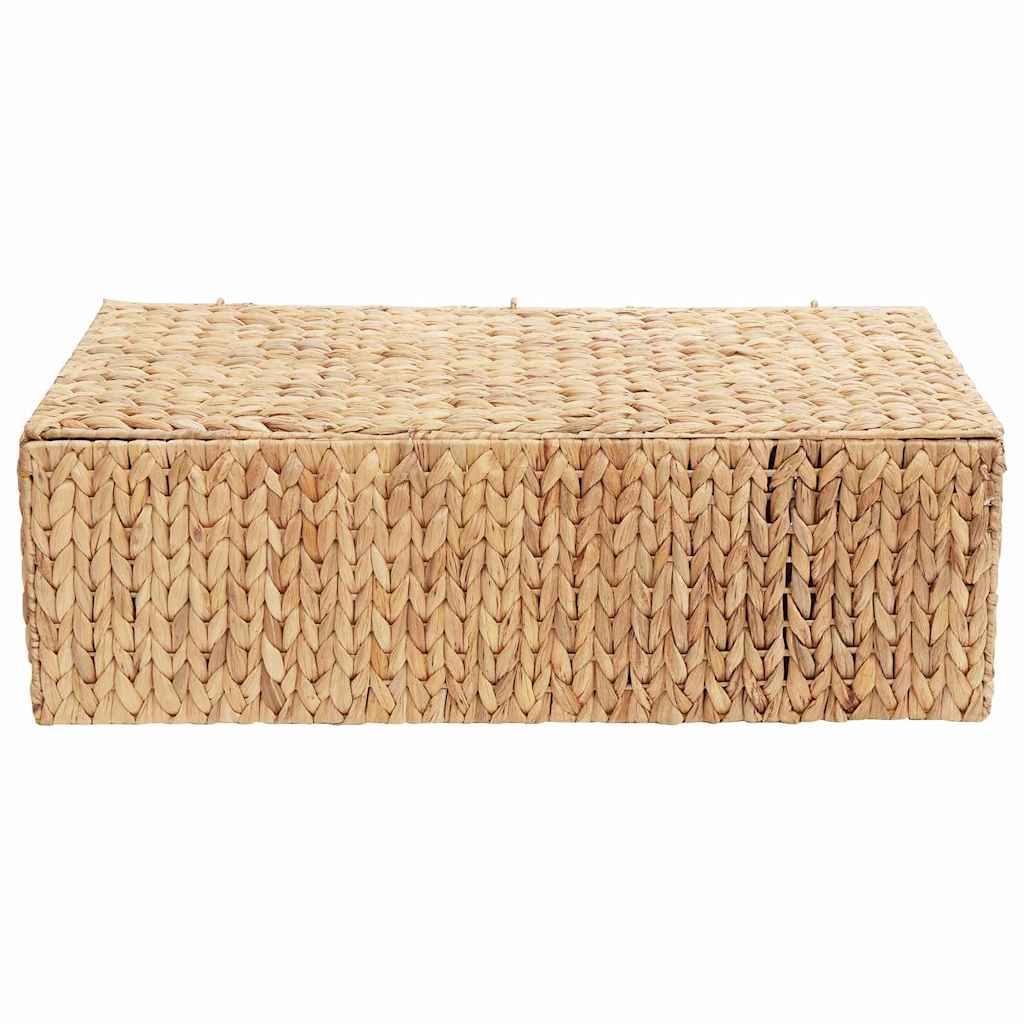 Saugojimo dėžė Natūrali 60 x 38 x 20 cm Vandens hiacintas