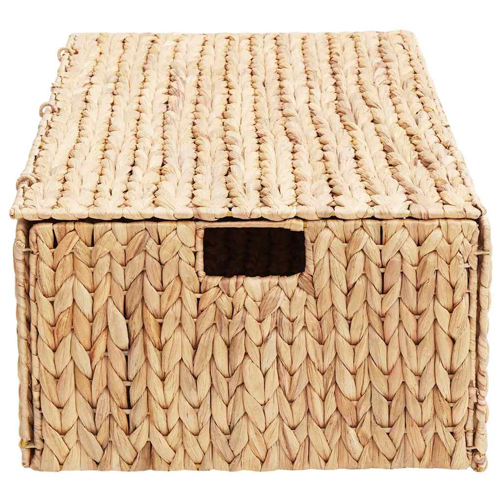 Saugojimo dėžė Natūrali 60 x 38 x 20 cm Vandens hiacintas
