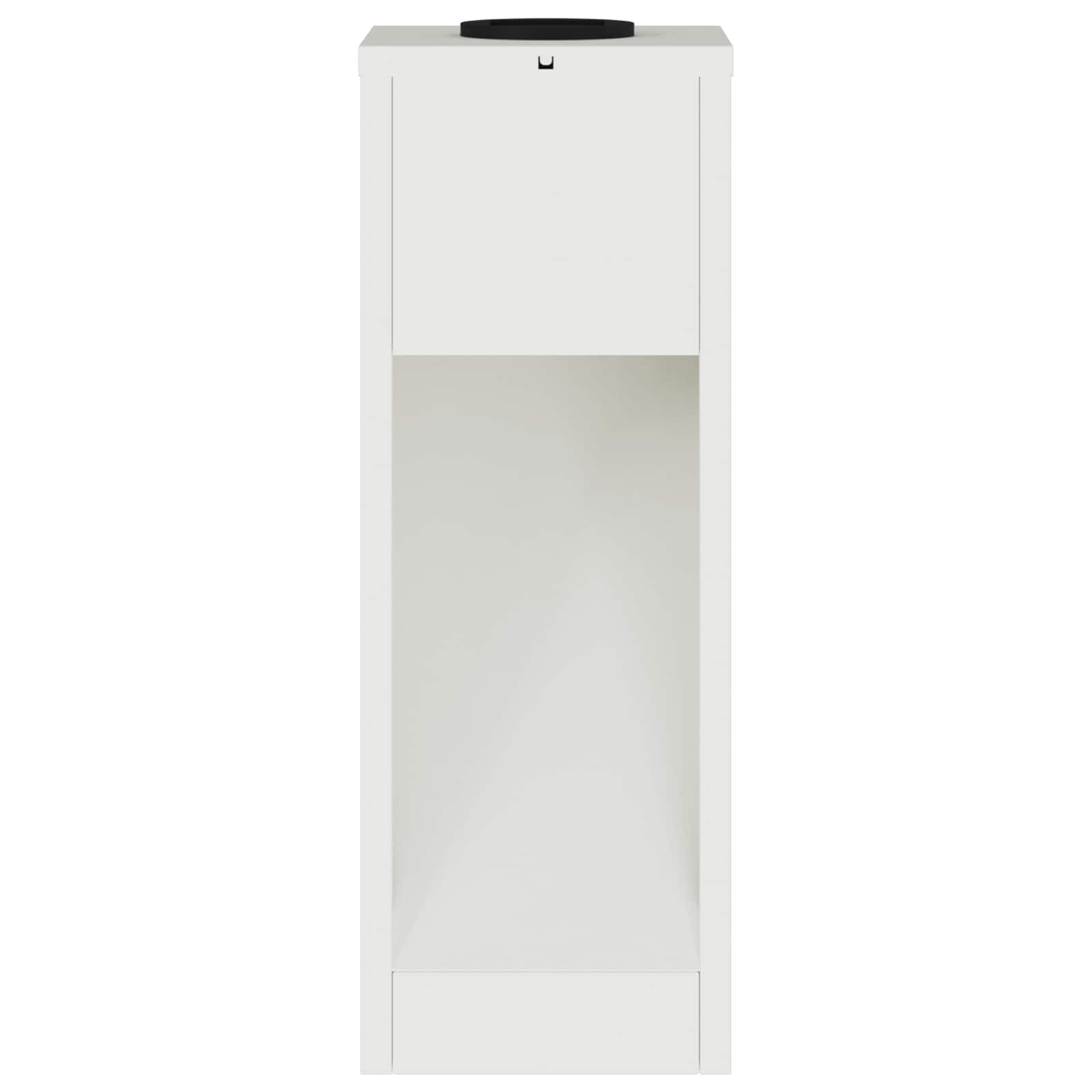 Saulės LED takų šviestuvas 2 pcs Balta Šaltai valcuotas plienas