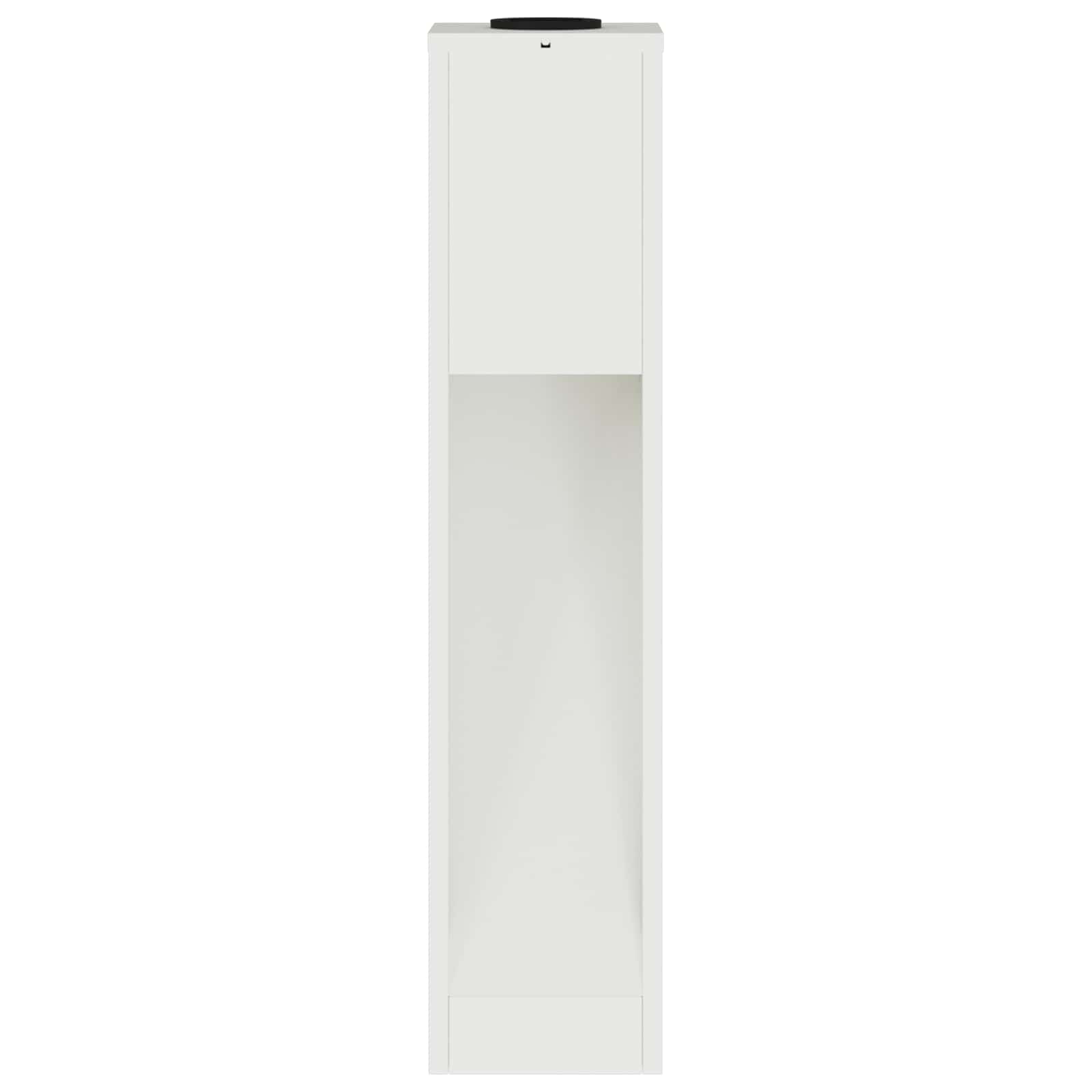 Saulės LED takų šviestuvas 2 pcs Balta Šaltai valcuotas plienas