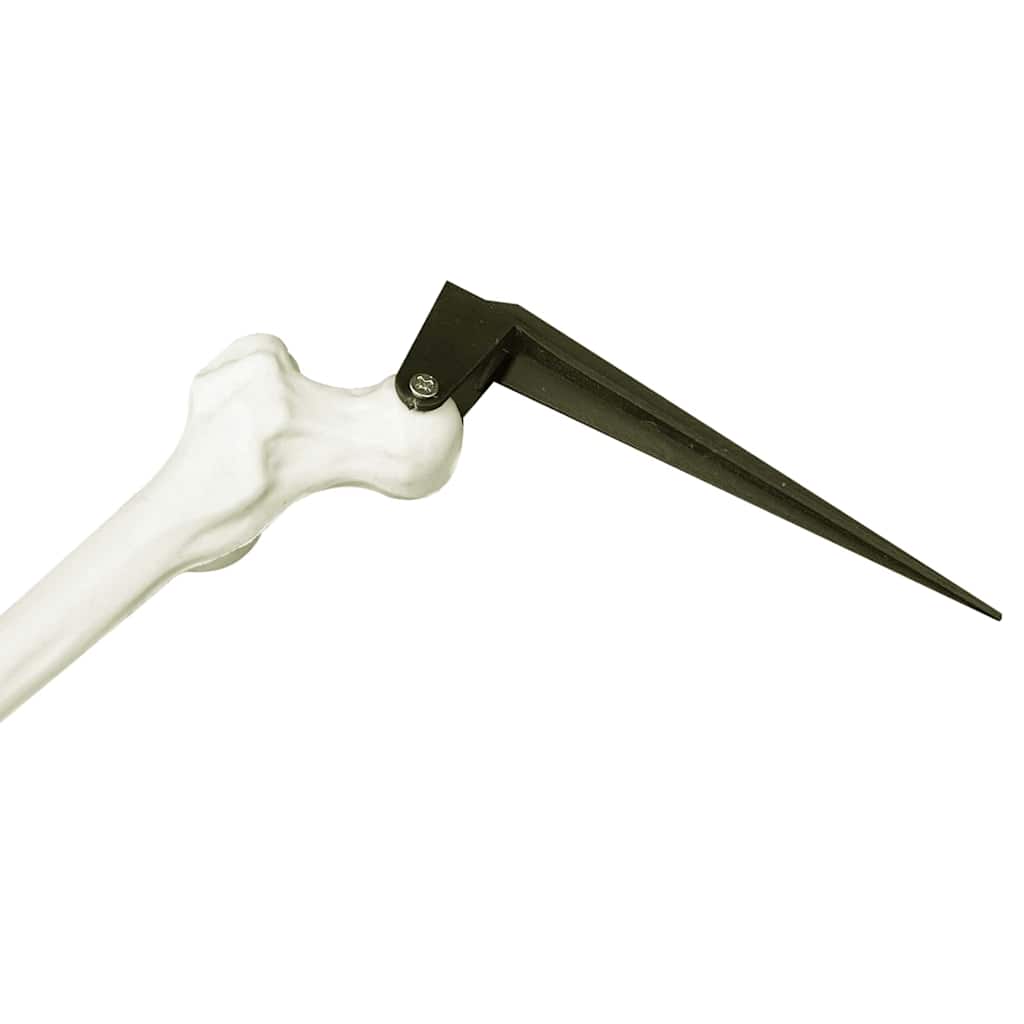 Helovino skeletas su žemės kuolais Balta 45,5 x 13 cm