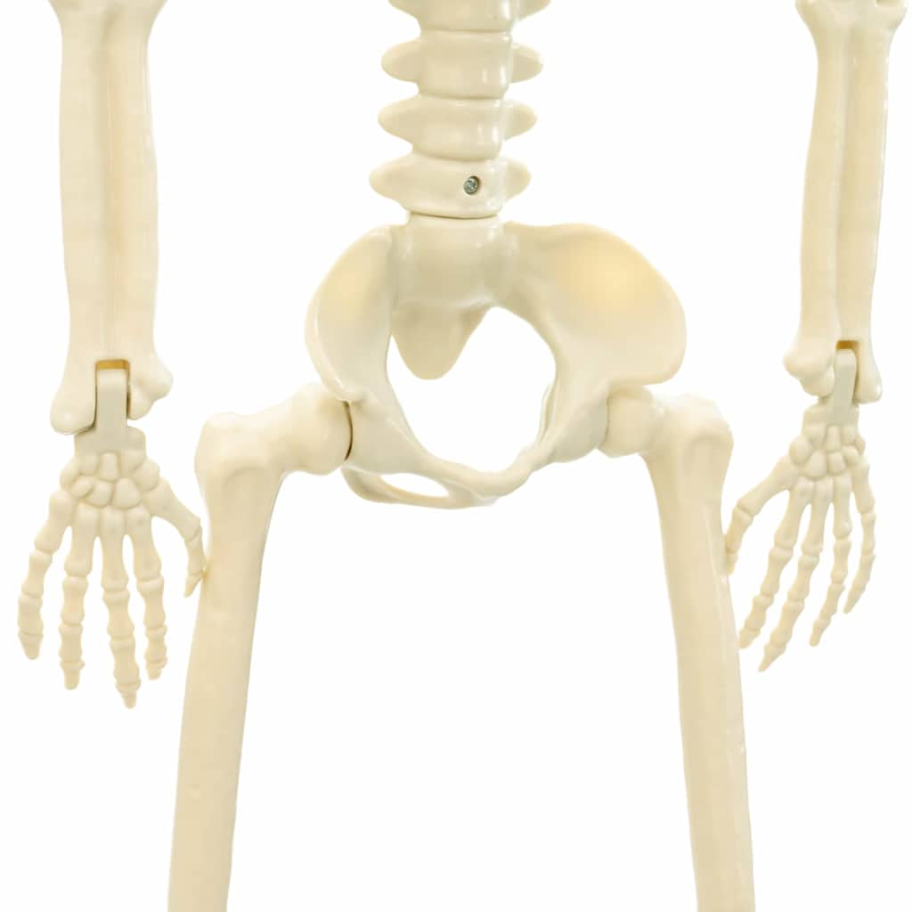 Helovino skeletas EVERGREEN SNOW, 2 vnt. Balta 85 cm.