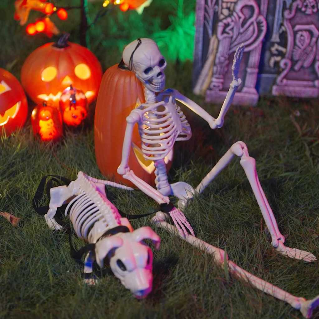 Halloween decoration - skeleton 2 pcs White Polypropylene