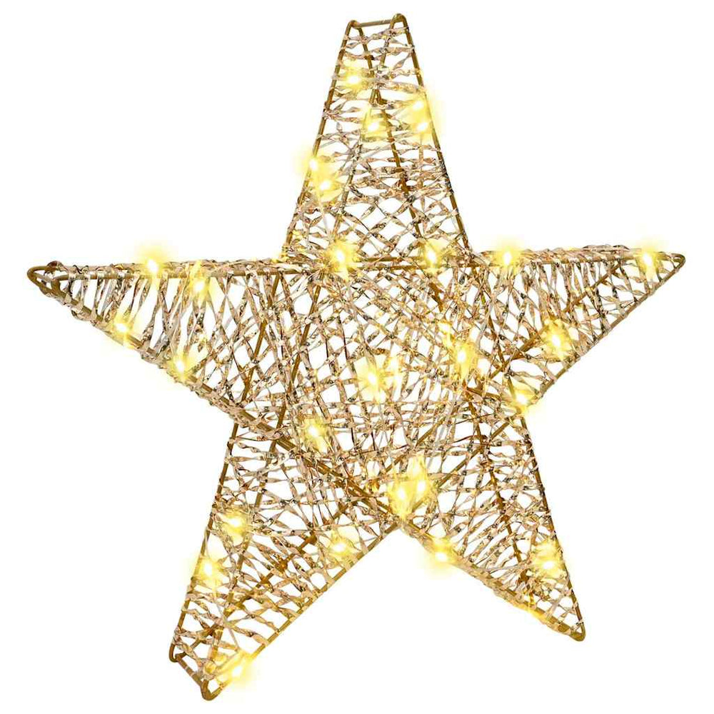 3D žvaigždė su 50 LED Šilta balta 55 x 52.5 x 9 cm PET