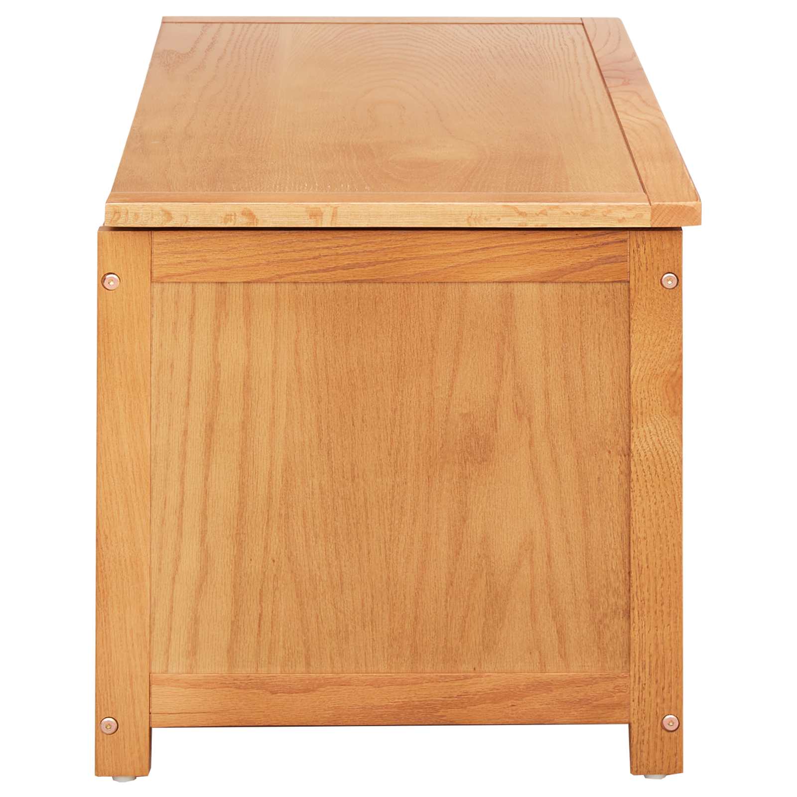 Saugojimo dėžė Paprastas