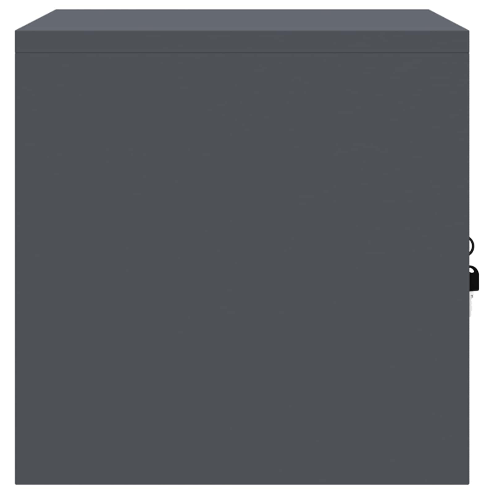 Anthracite Storage Cabinet with Storage 60 x 40 x 40 cm