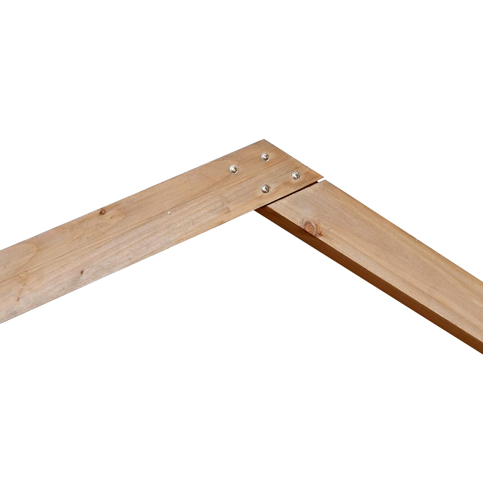Vestuvinis Arklys Šviesiai rudas 221 x 92 x 216 cm
