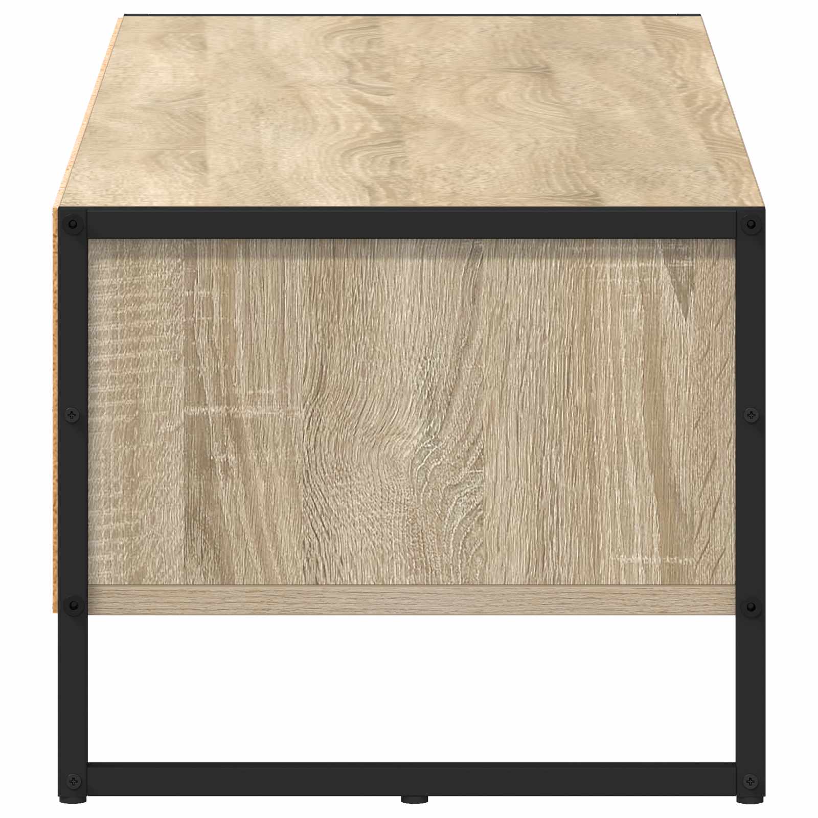 Televizoriaus spintelė Sonoma 100 x 36.5 x 30.5 cm