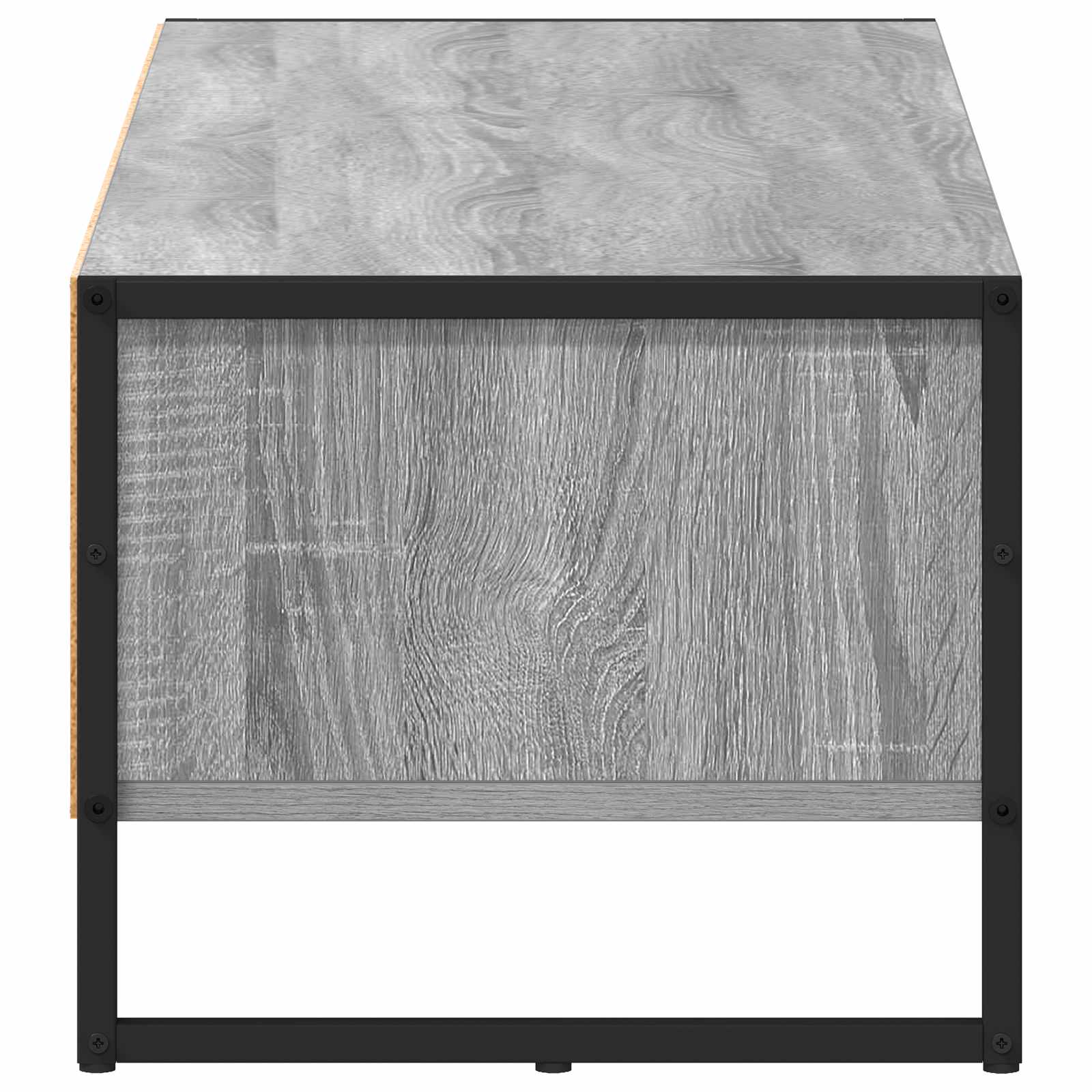 Televizoriaus spintelė Pilkas Sonoma 100 x 36.5 x 30.5 cm