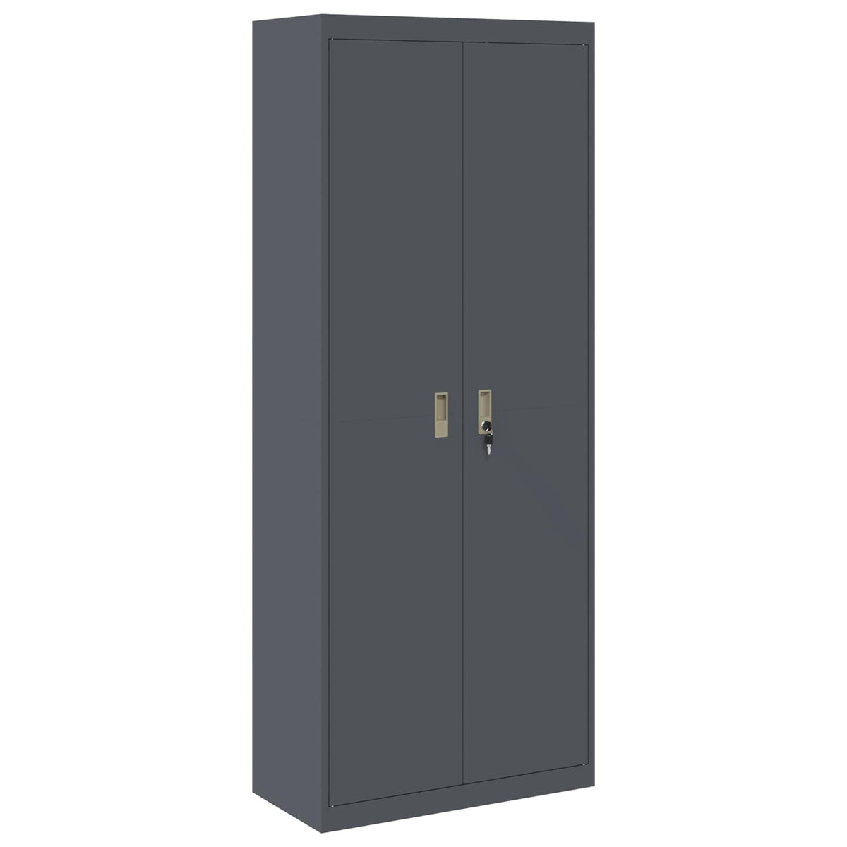 Oppbevaringsskap Antracitas 80 x 40 x 200 cm Plienas