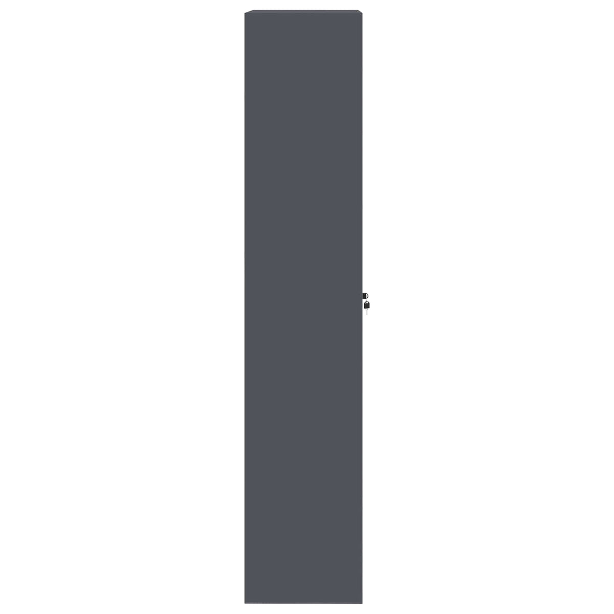 Oppbevaringsskap Antracitas 80 x 40 x 200 cm Plienas