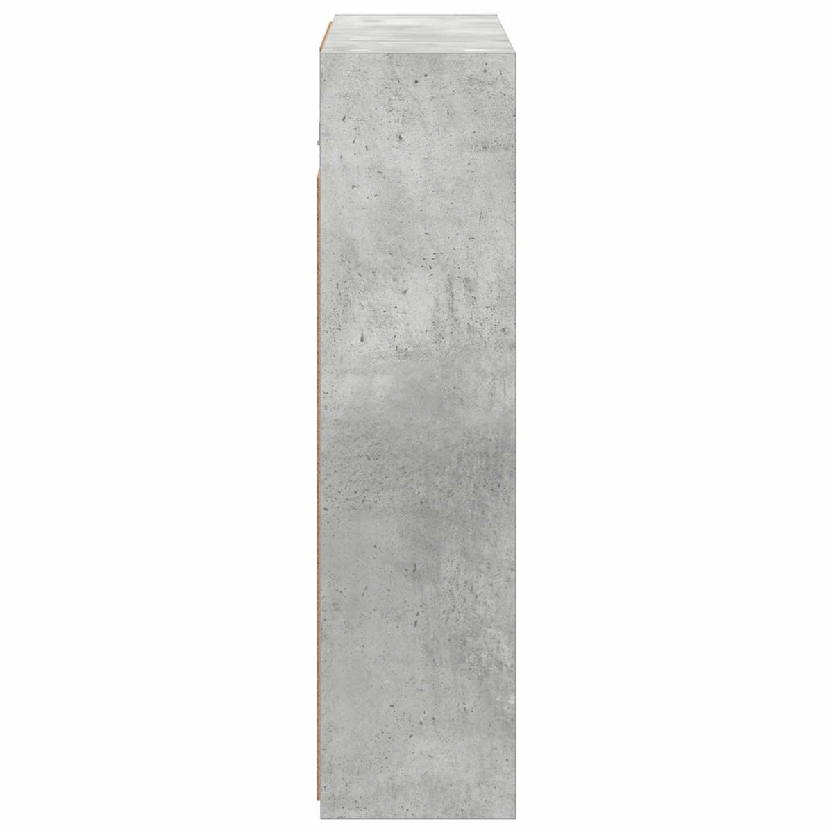 Vonios veidrodžio spinta Betono pilka 63,5 x 16 x 62,5 cm