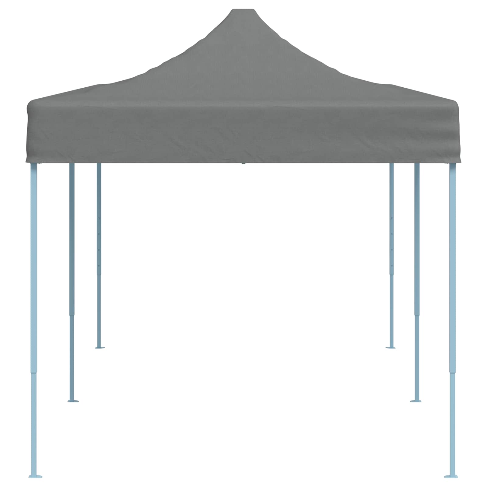 Party tent NIOBE, 291x580cm