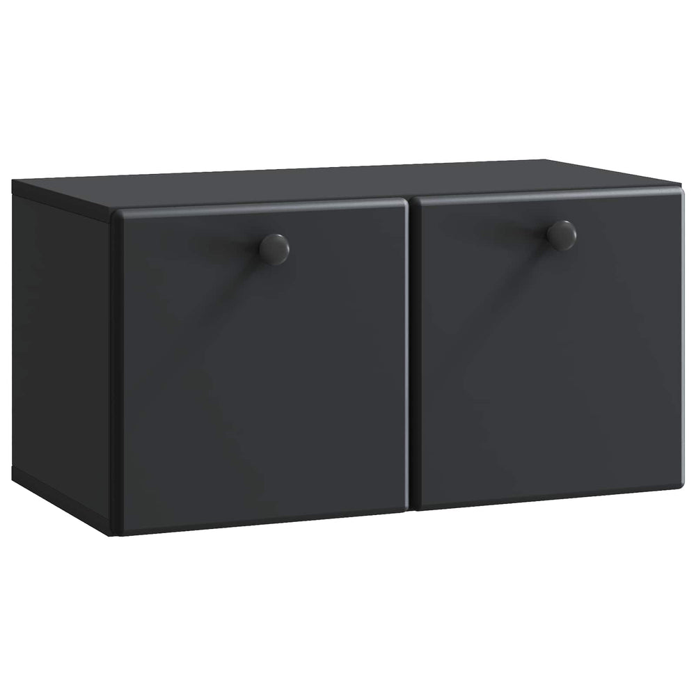 Sieninė TV spintelė Juoda 59,5 x 31 x 30 cm Apdirbta mediena
