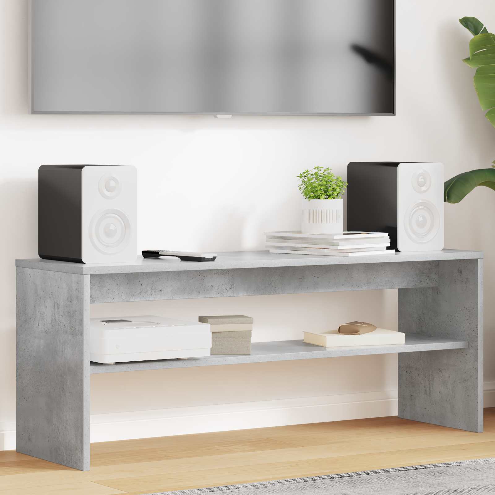 Televizoriaus spintelė Betono pilka 100 x 30 x 40 cm