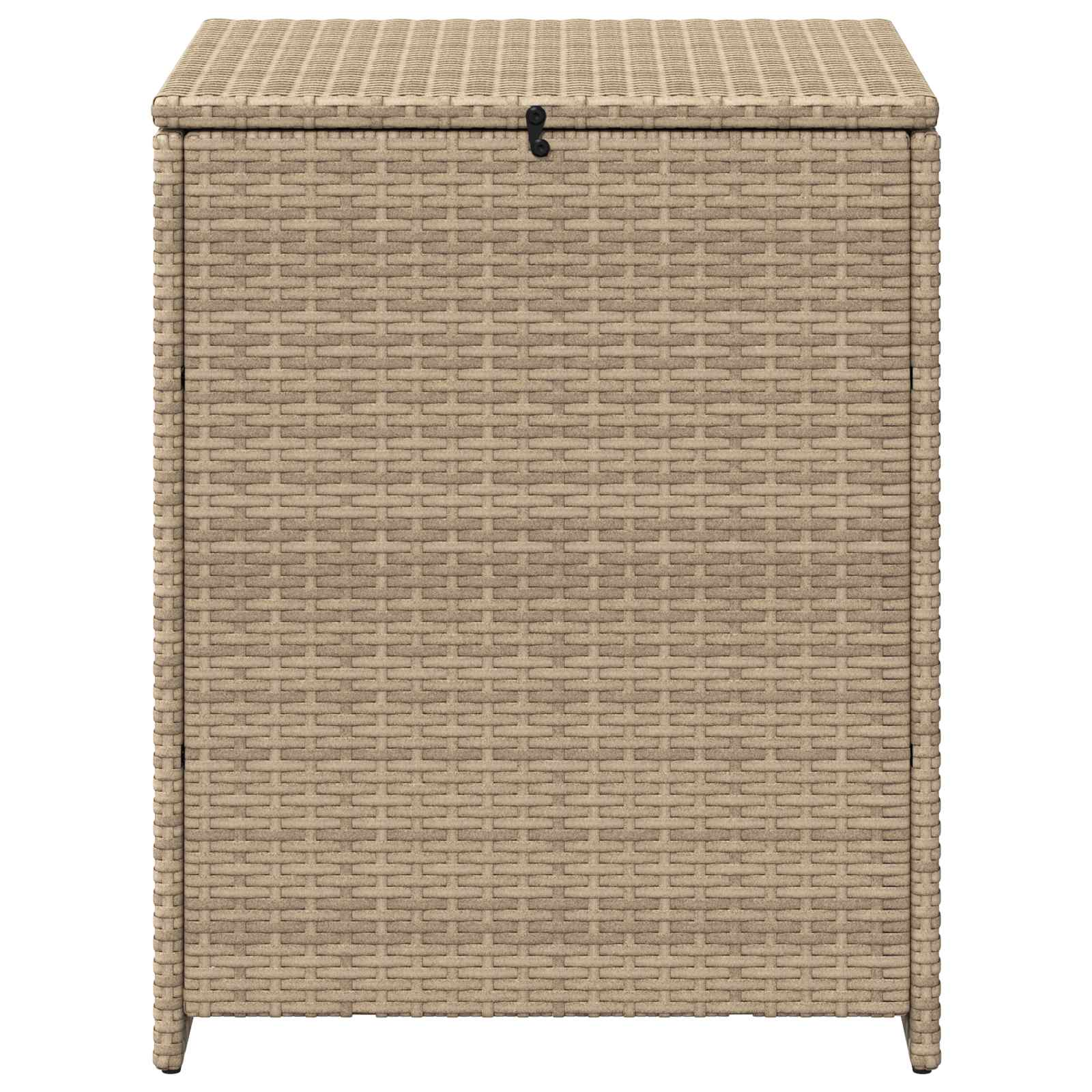 Spilvenu kaste 55 x 55 x 69 cm tērauds