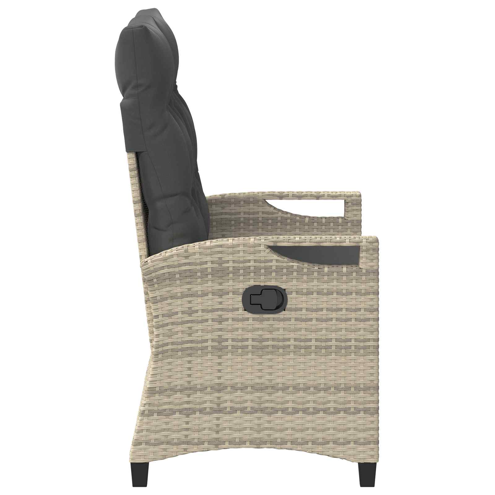 Dārza sols ar spilvenu 105 x 60 x 112 cm tērauds