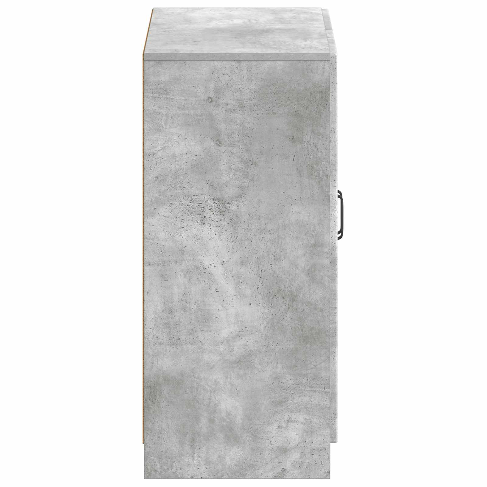 Batu skrynia UTRECHT 59,5 x 39,5 x 87 cm Apdirbta mediena