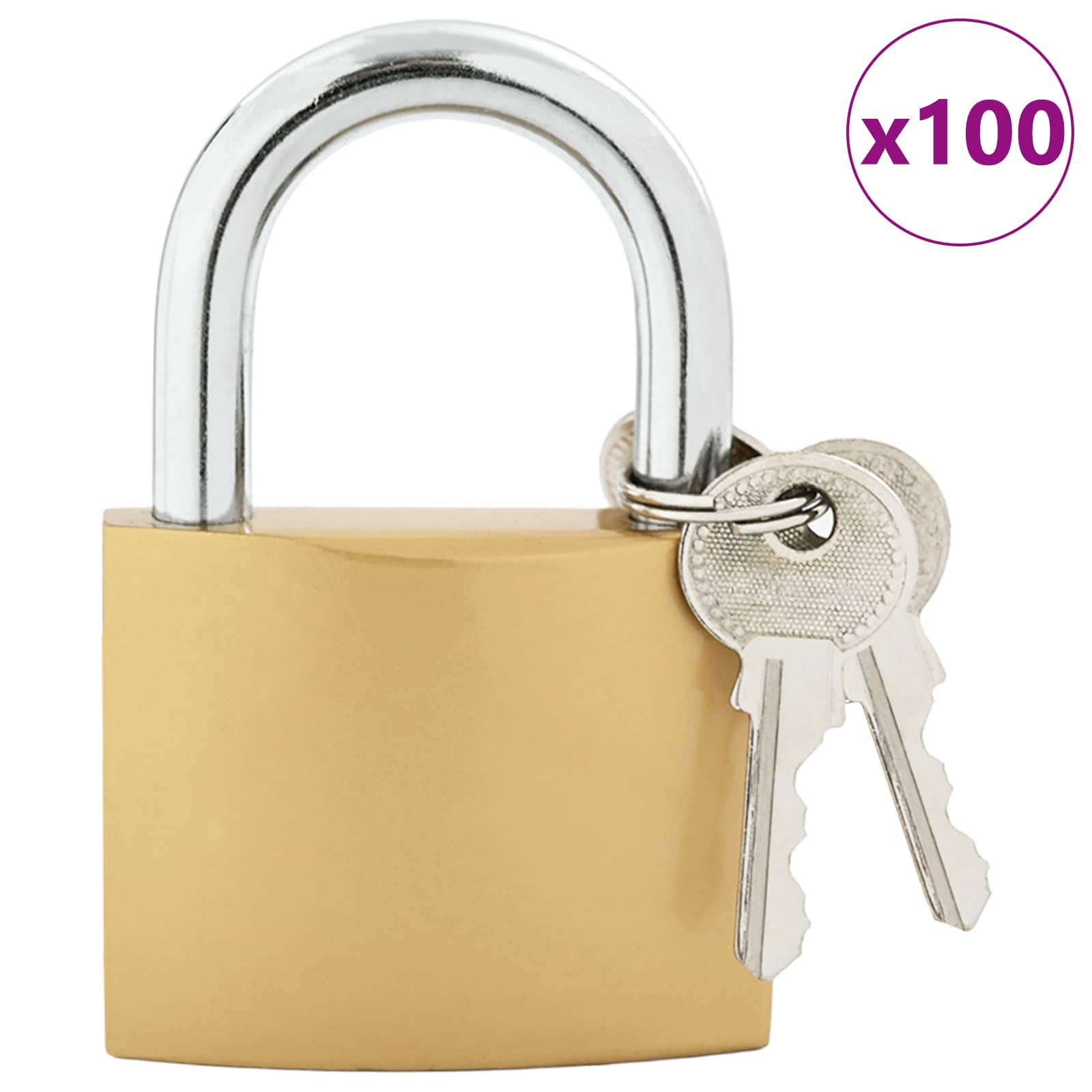 U spyna su raktai 100 pcs Žalvaris Geležis