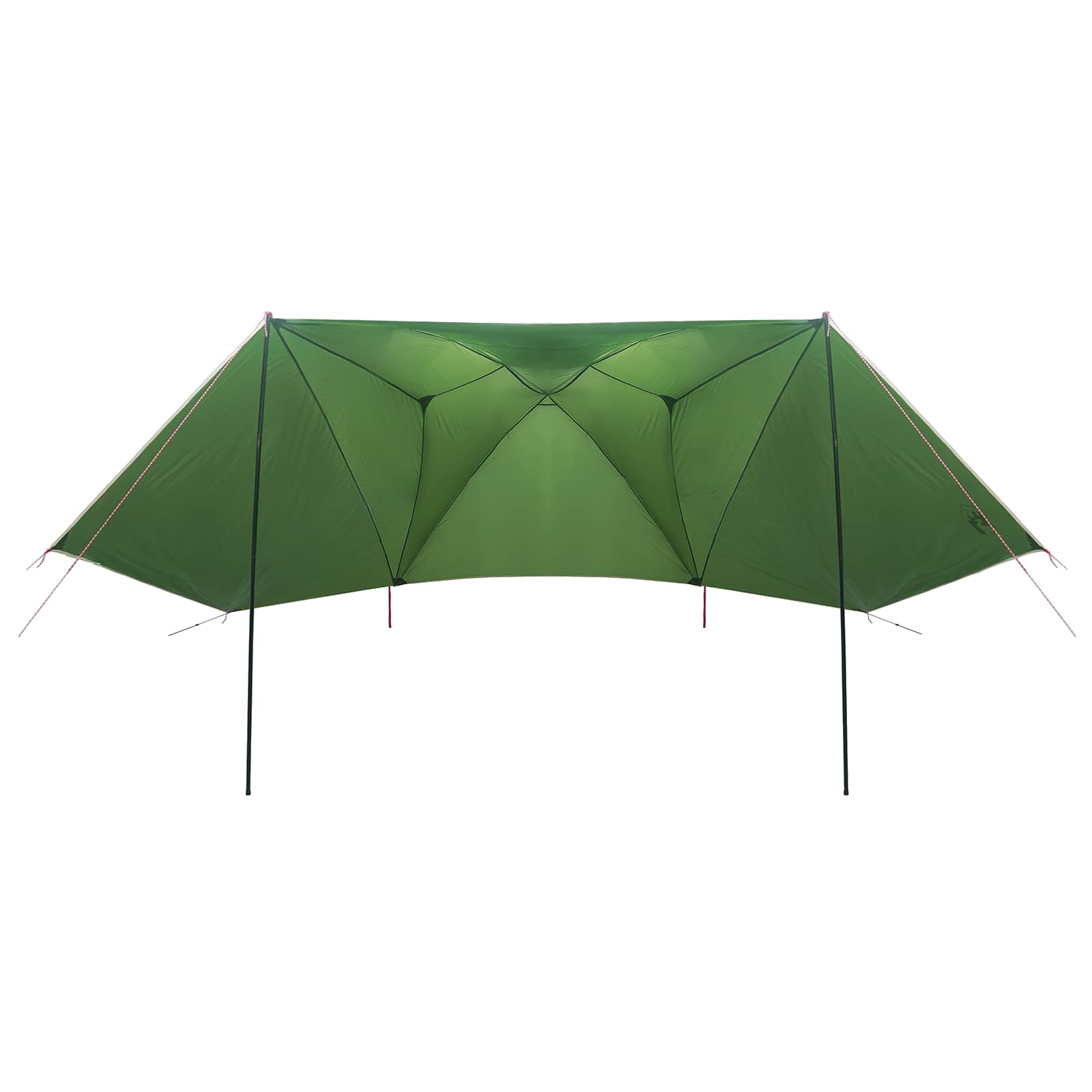 Automobilių palapinė Žalia 350 x 250 cm Poliesteris ir plienas
