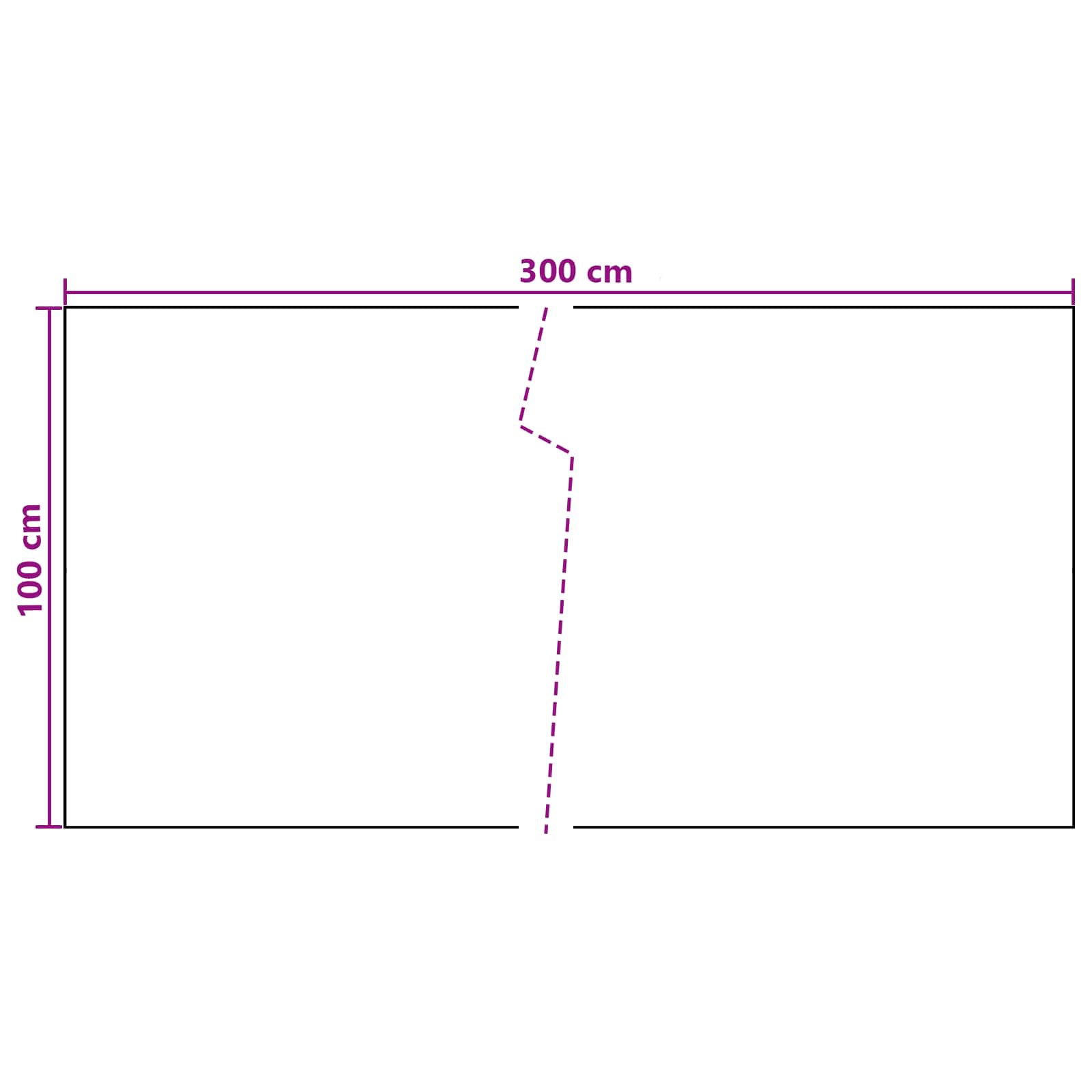 Balkono Ekranas Tamsiai pilka 300 x 100 cm poliratanas