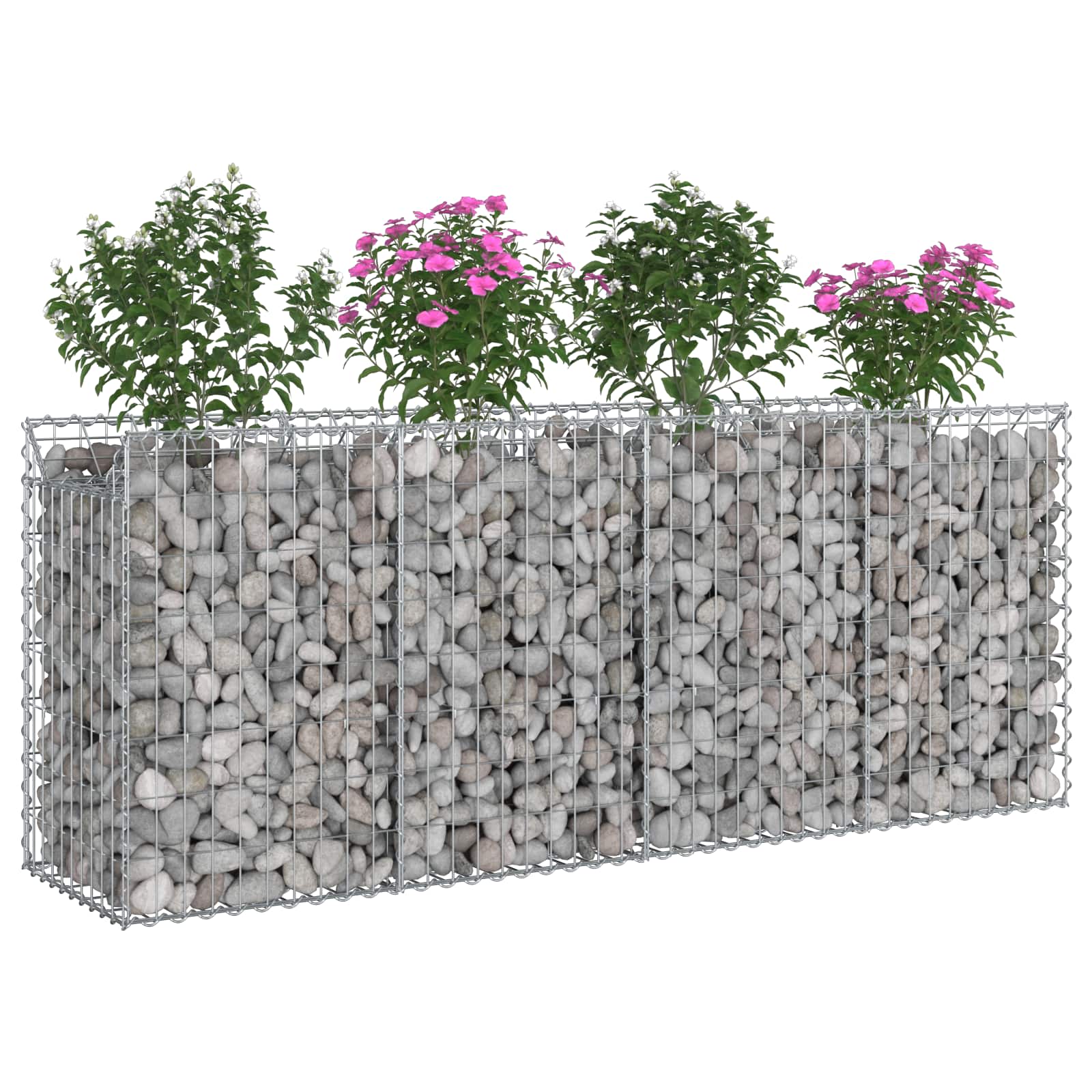 Gabioninė pakelta lova 2 pcs Sidabro 200 x 50 x 80 cm