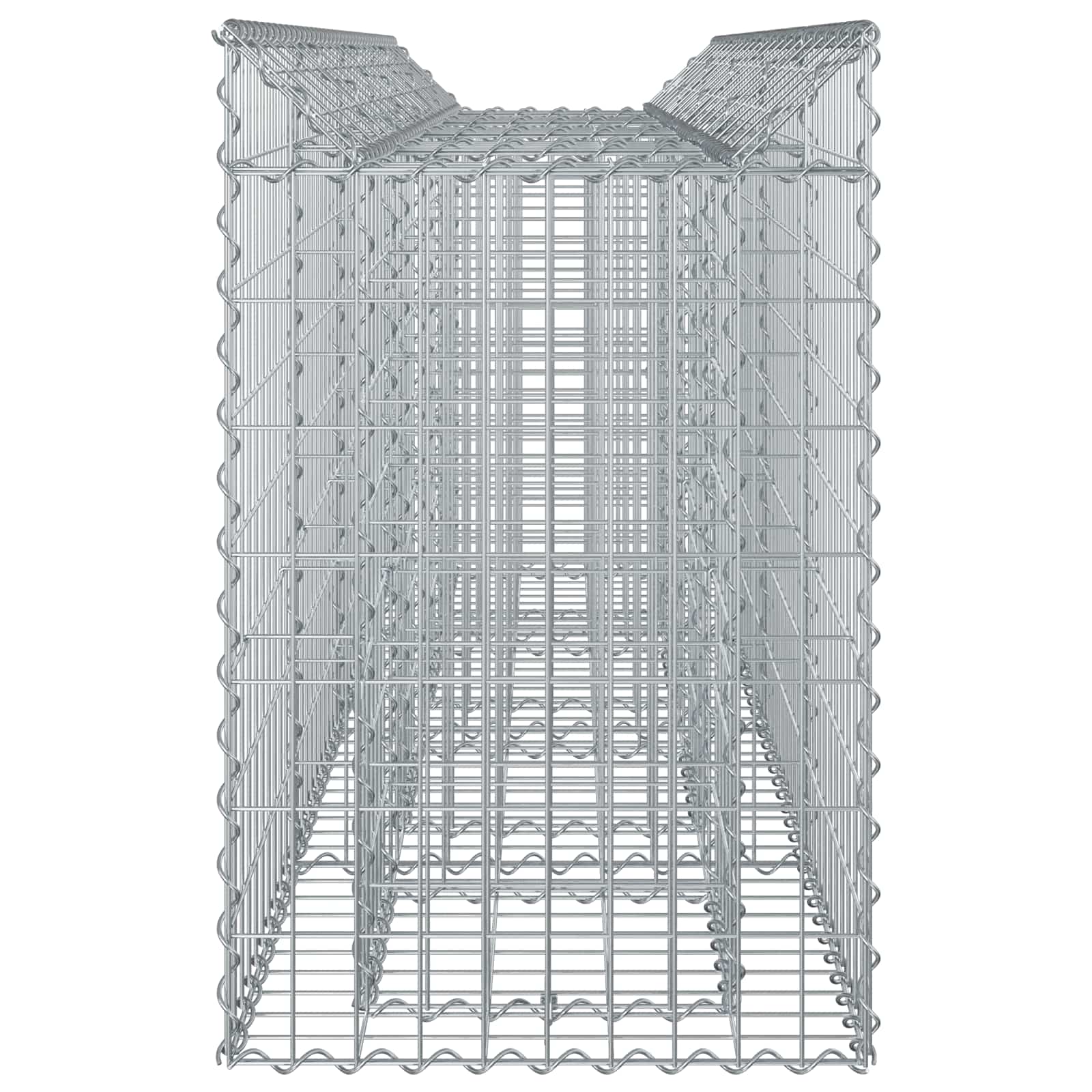 Gabioninė pakelta lova 2 pcs Sidabro 200 x 50 x 80 cm