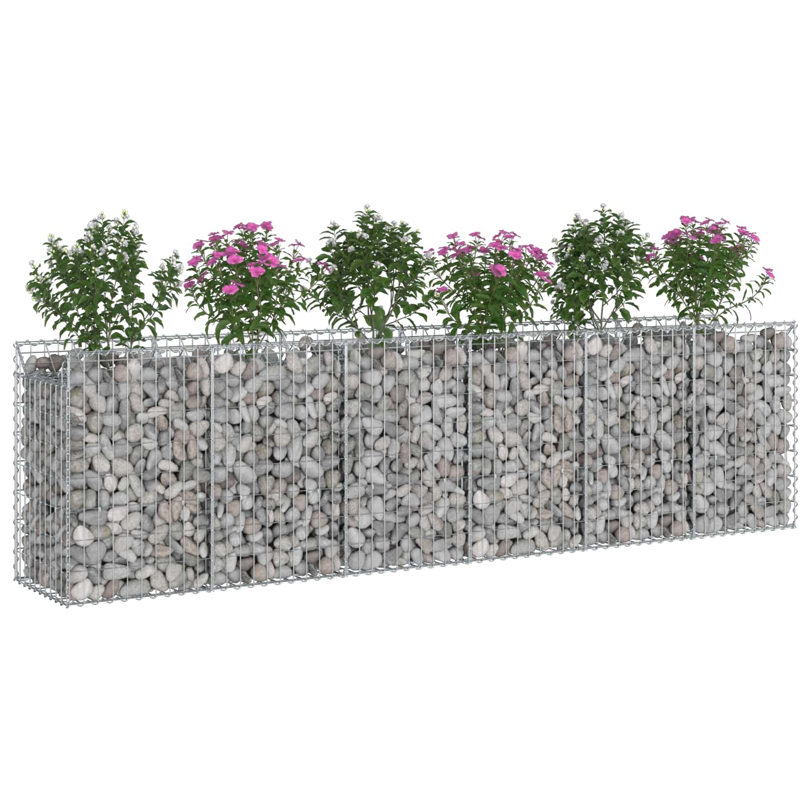 Gabioninė pakelta lova 2 pcs Sidabro 300 x 50 x 80 cm