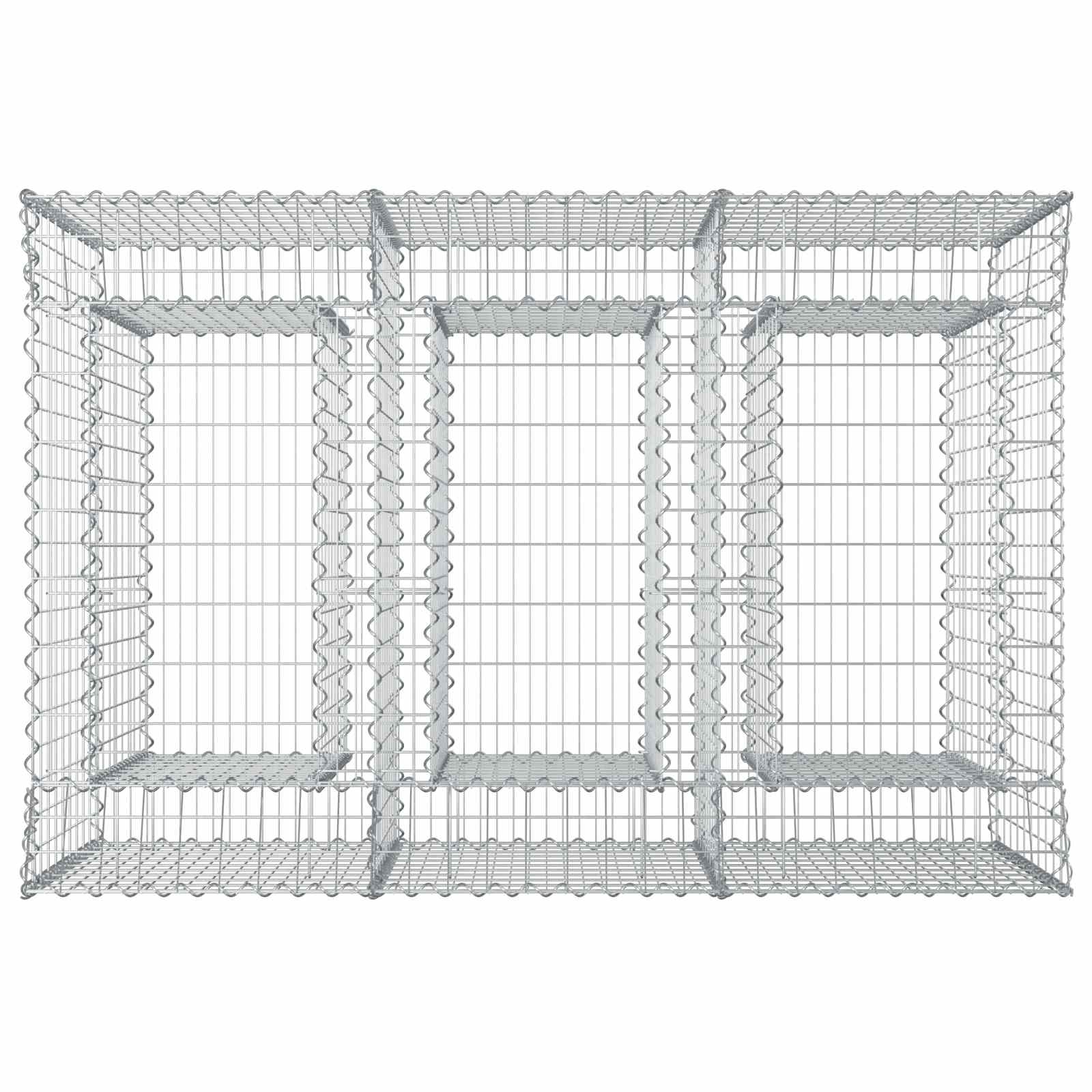 Gabioninė pakelta lova 2 pcs Sidabrinė