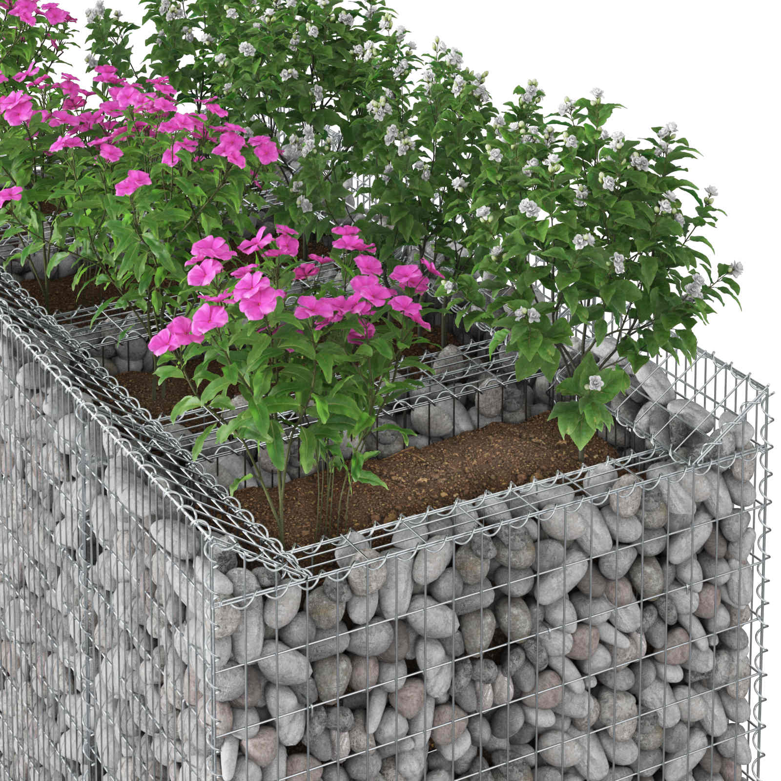 Gabioninė pakelta lova 2 pcs Sidabrinė