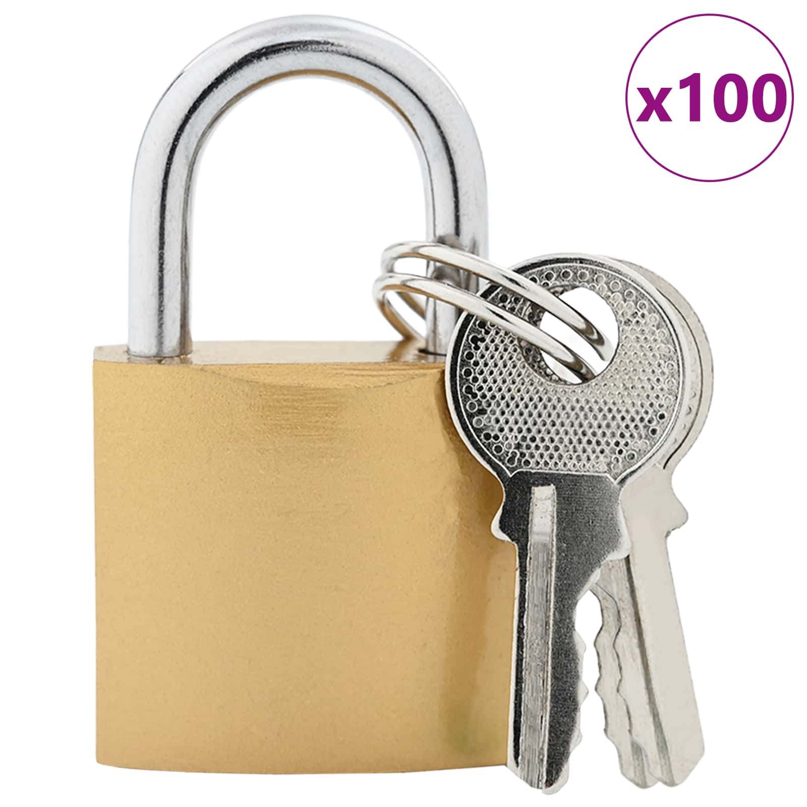 U spyna su raktai 100 pcs Žalvaris Geležis