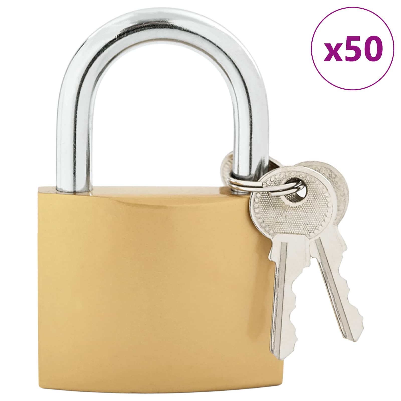 U spyna su raktai 50 pcs Žalvaris Geležis