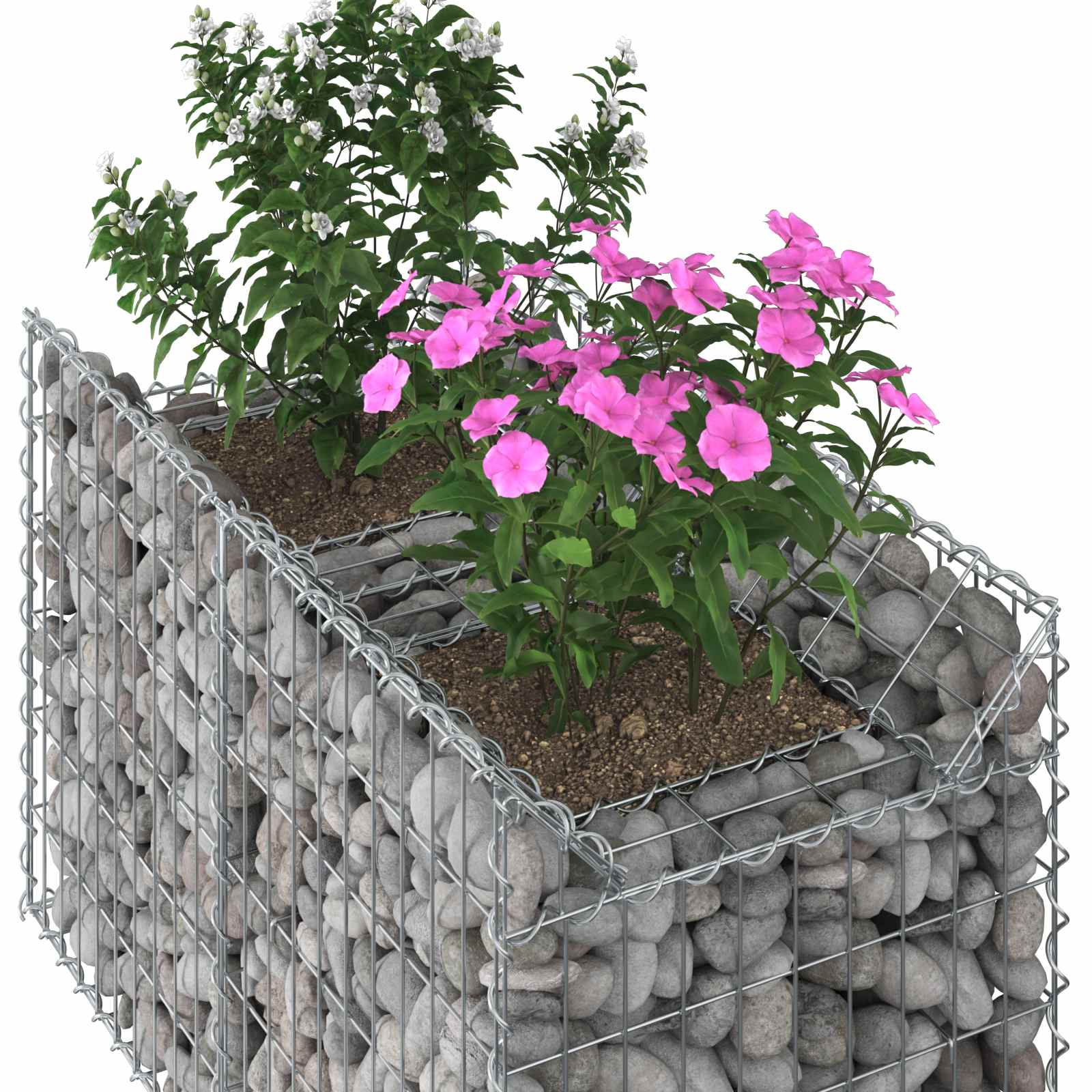 Gabion Raised Bed Silver 100 x 50 x 60 cm