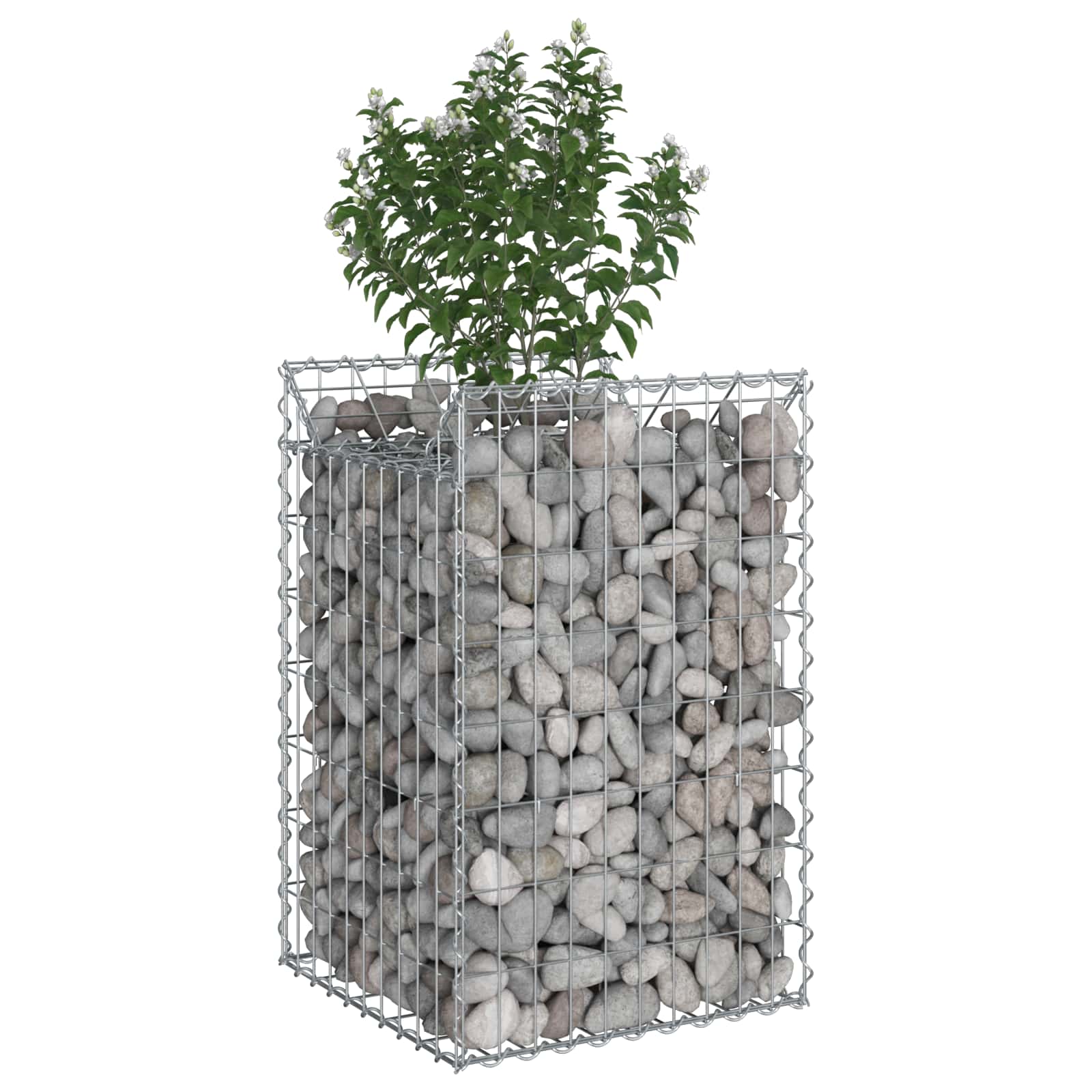 Gabioninė pakelta lova Sidabro 50 x 50 x 80 cm Cinkuota plienas