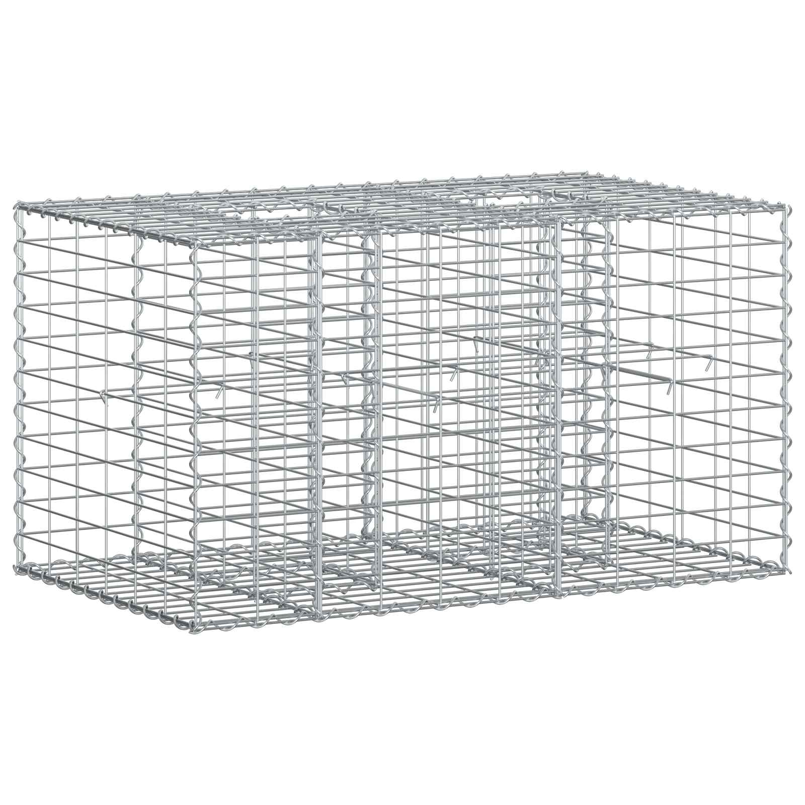 Gabion Raised Bed Silver 100 x 60 x 55 cm