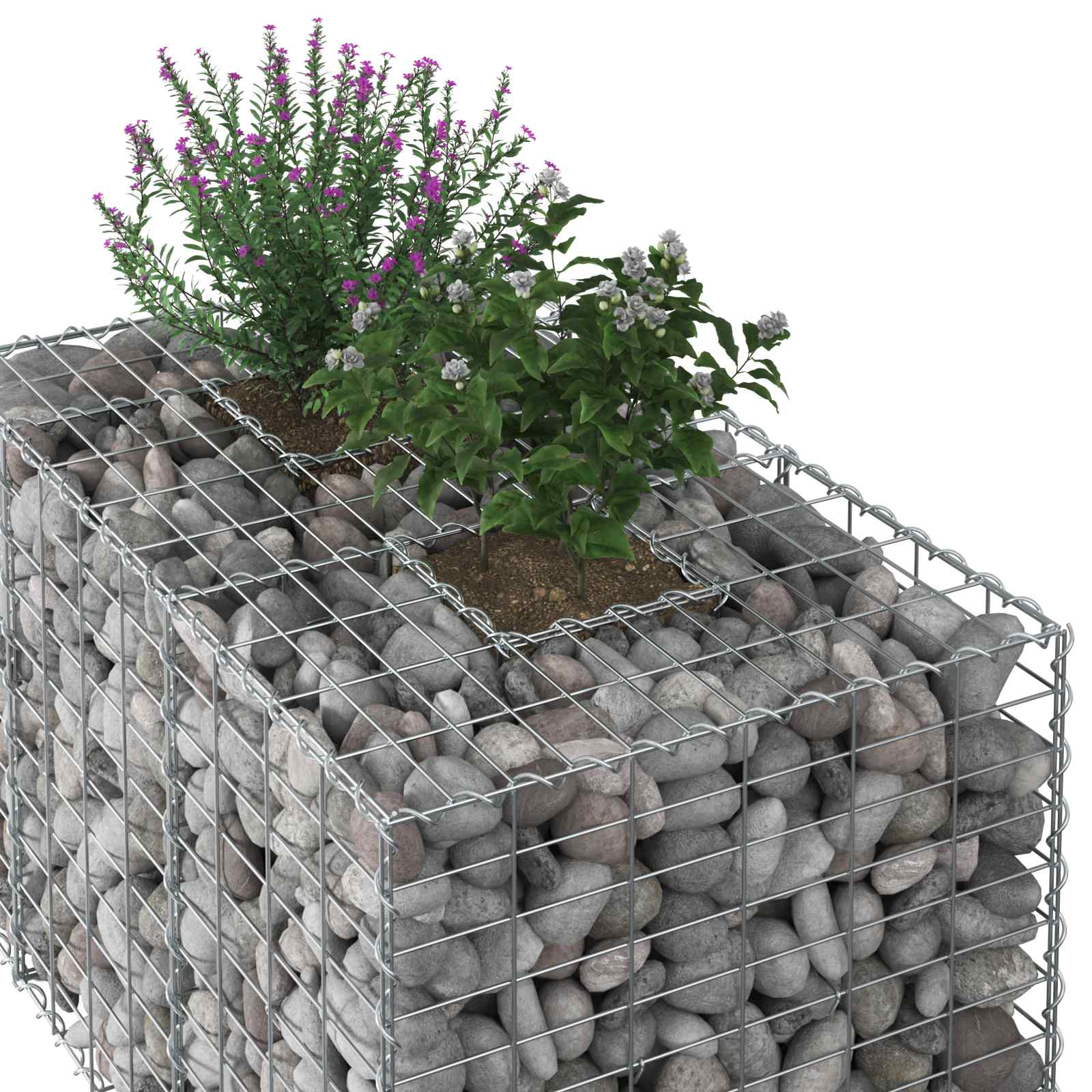 Gabion Raised Bed Silver 100 x 60 x 55 cm