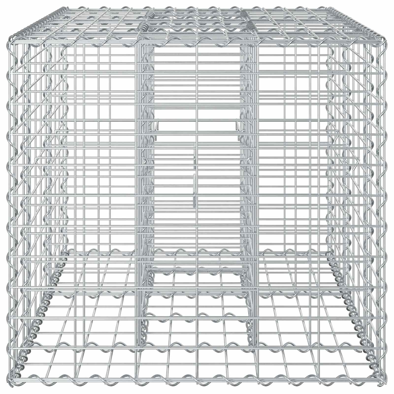 Gabion Raised Bed Silver 100 x 60 x 55 cm
