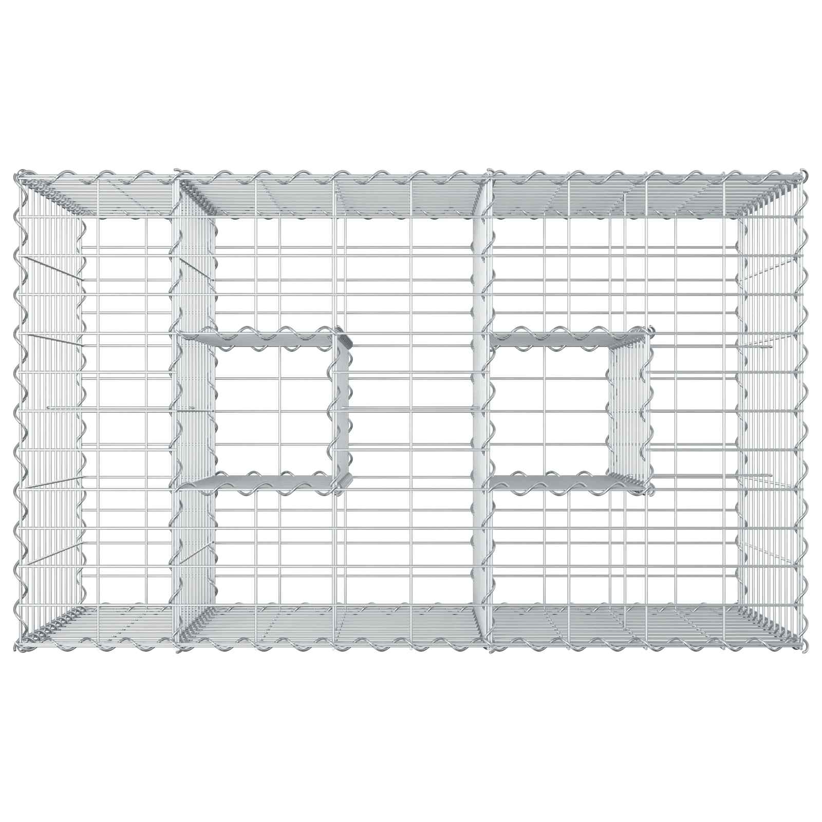 Gabion Raised Bed Silver 100 x 60 x 55 cm