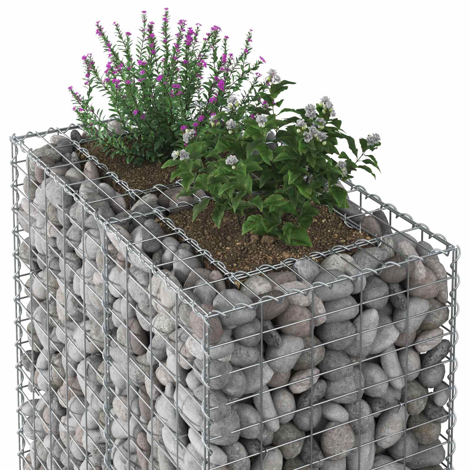 Gabioninė pakelta lova Sidabro 90 x 50 x 80 cm Cinkuota plienas