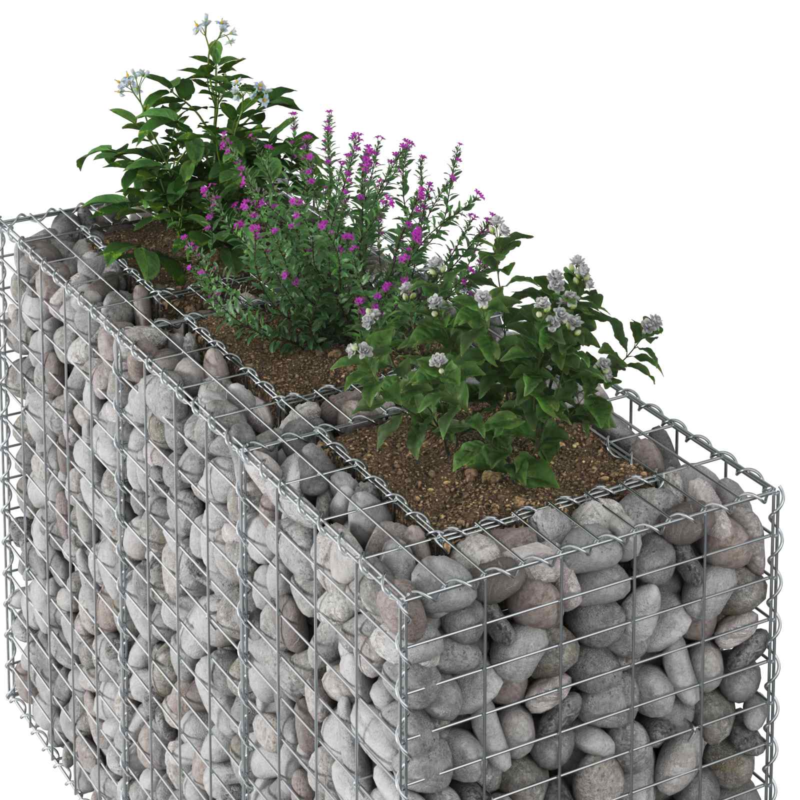 Gabionu paaugstinātā dobe Sudraba 130 x 50 x 80 cm