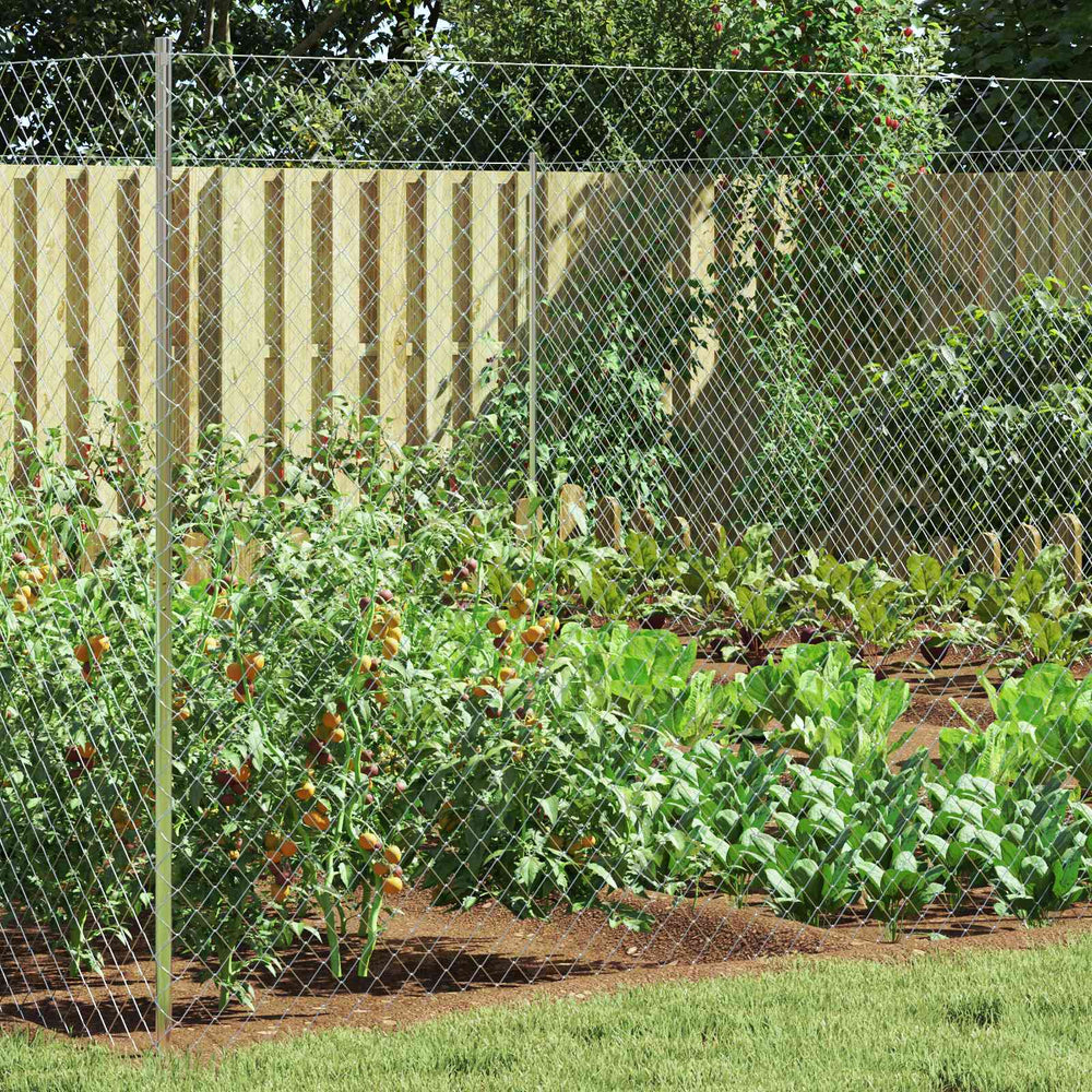Chain link fence Galvanised 2 x 20 m Glass