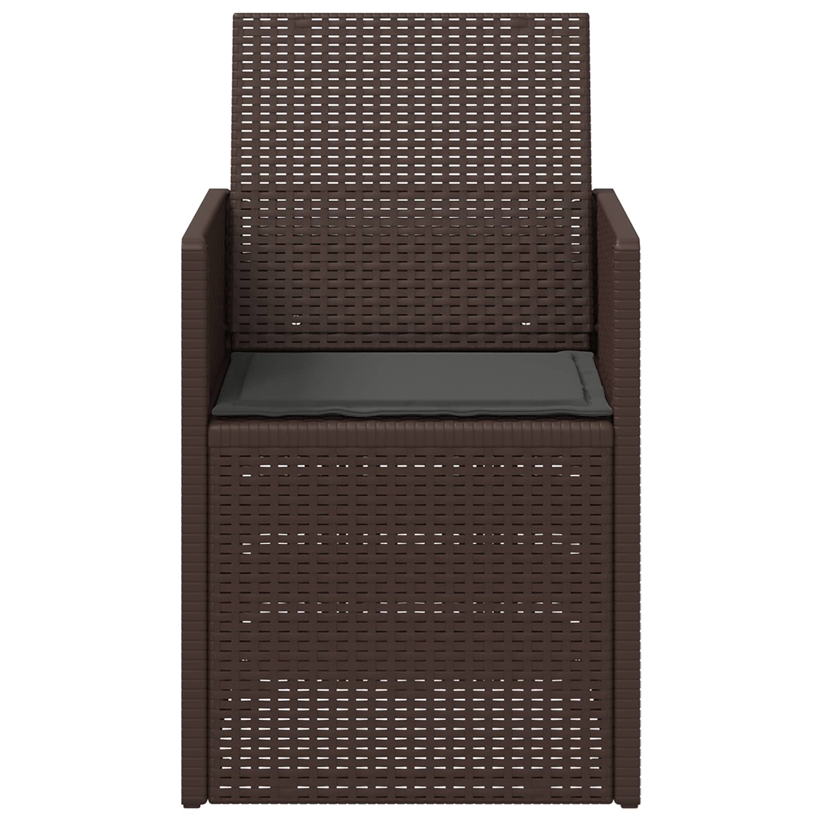 Sodo Valgomojo Kėdės 2 pcs Ruda ir antracito PP