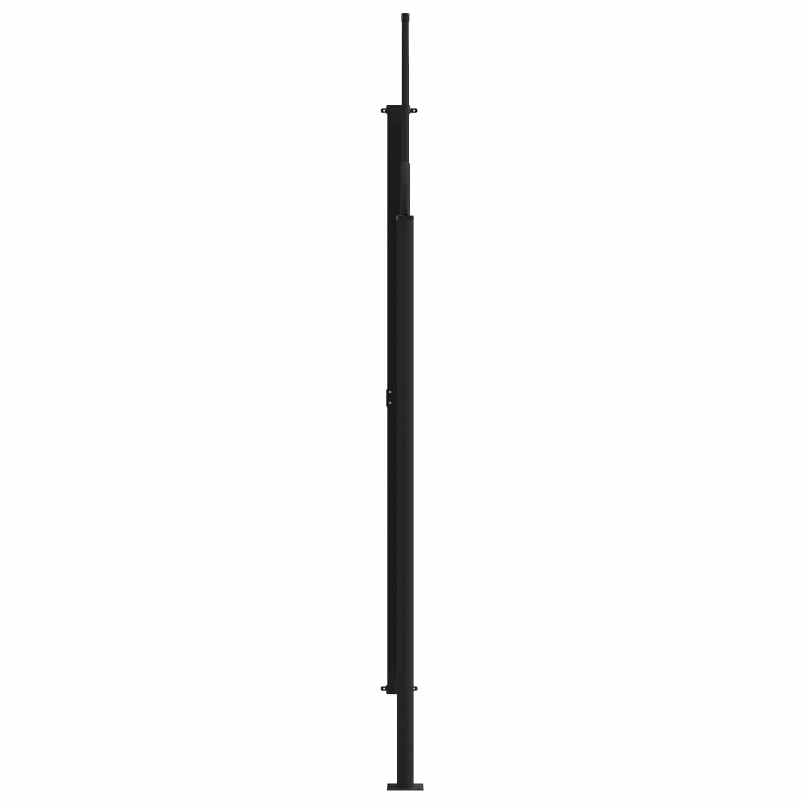 Ištraukiama šoninė užuolaida Pilka 300 x 220 cm Poliesteris