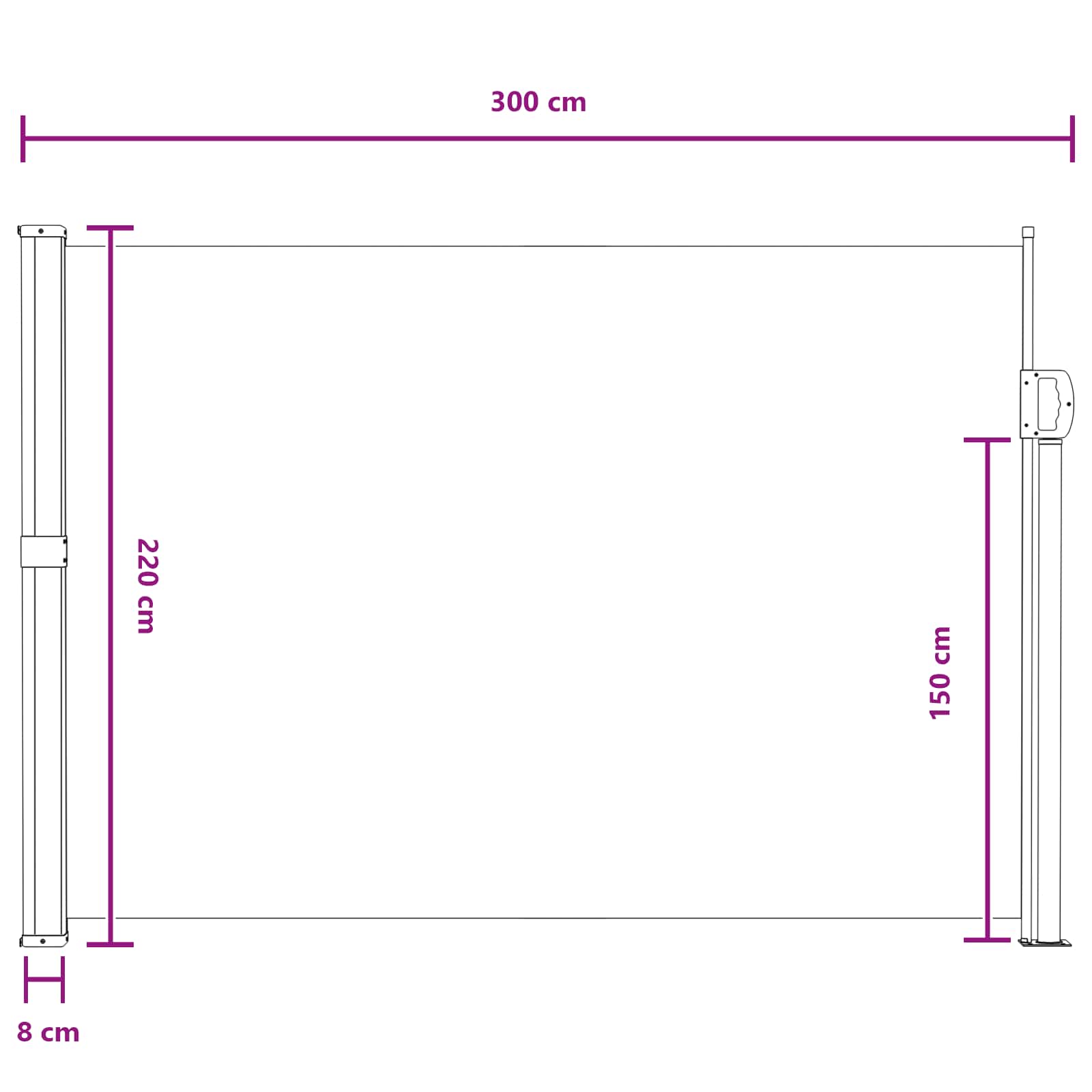 Ištraukiama šoninė užuolaida Pilka 300 x 220 cm Poliesteris