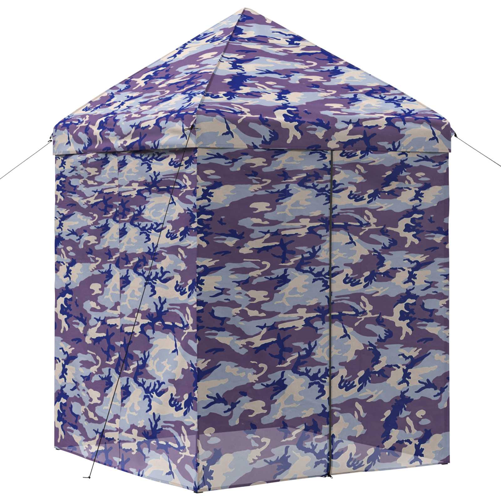 Pop-up Gazebo su 4 Šoninėmis Sienelėmis 2 x 2 m