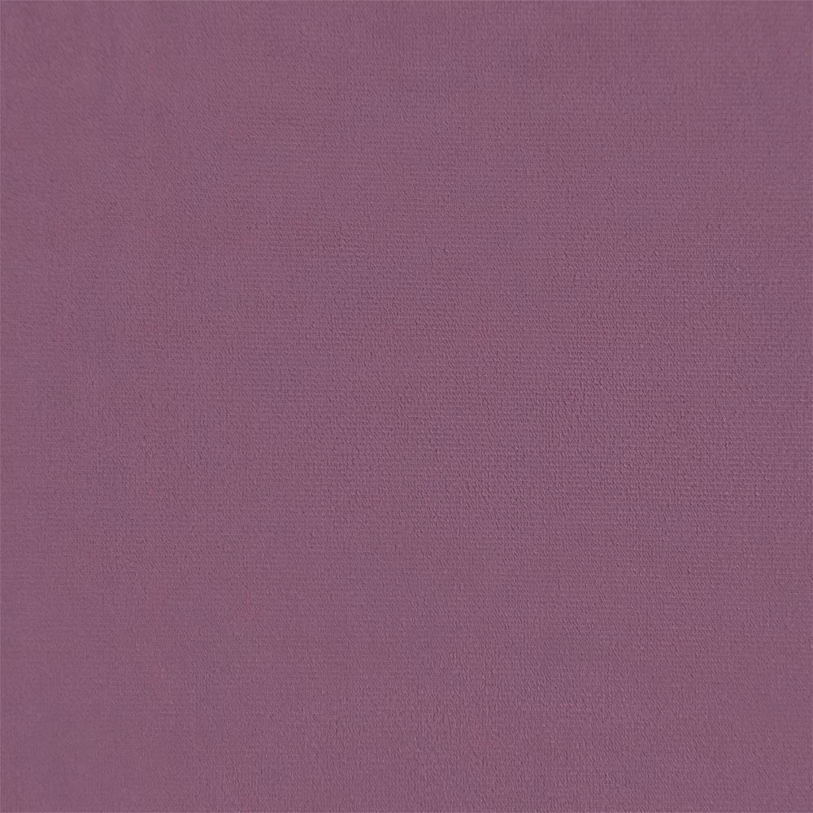 Mygtukais suglebusi suolelis su pagalvėlėmis Violetinė Aksomas