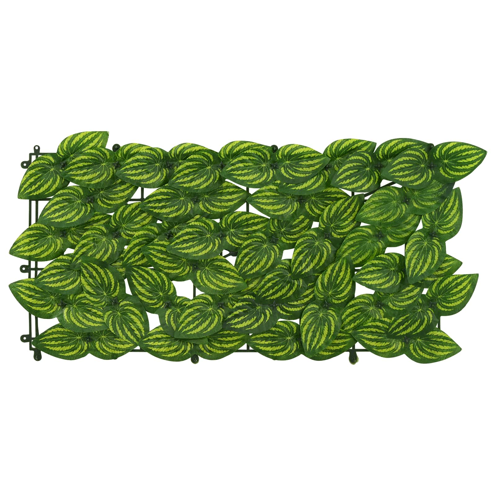 Balkono ekranas su lapais Žalia ir geltona 500 x 100 cm