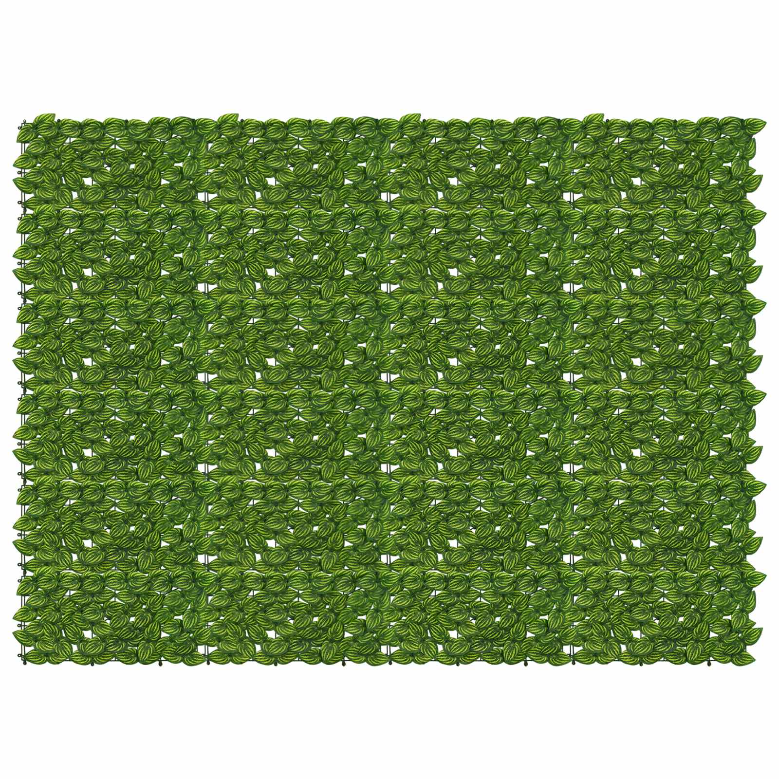 Balkono ekranas su lapais Žalia ir geltona 200 x 150 cm