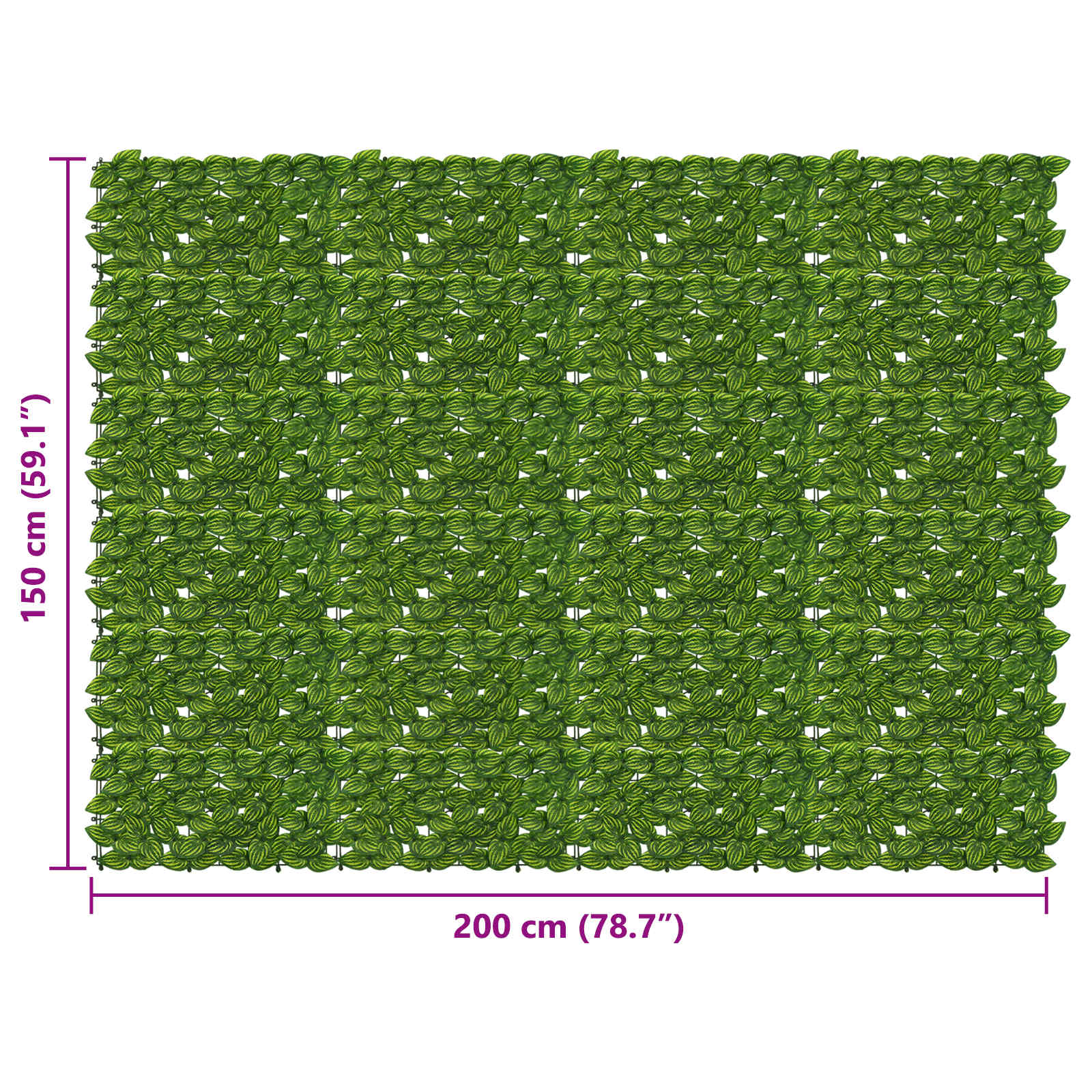 Balkono ekranas su lapais Žalia ir geltona 200 x 150 cm
